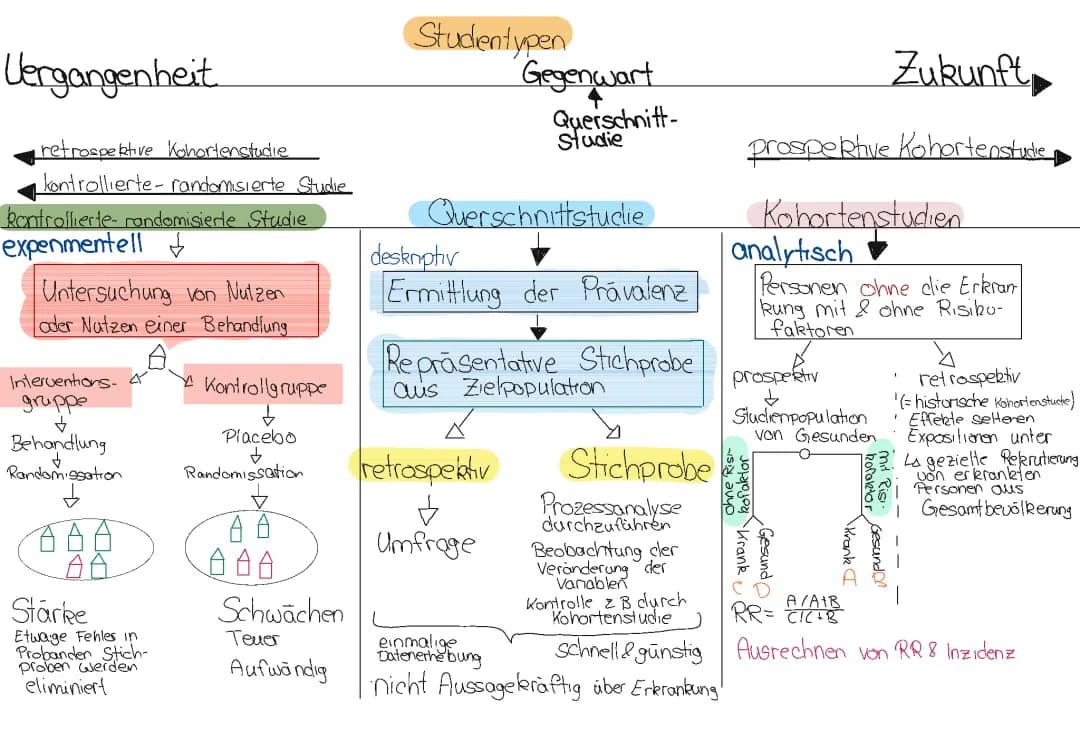 Studientypen 