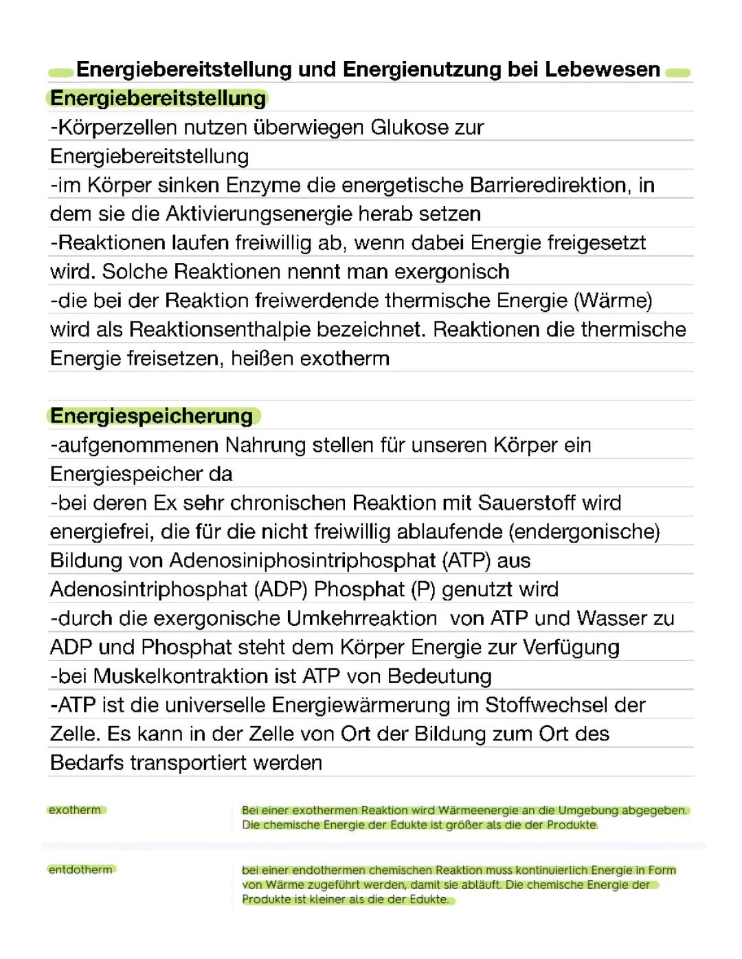 Energiebereitstellung und Energienutzung bei Lebewesen