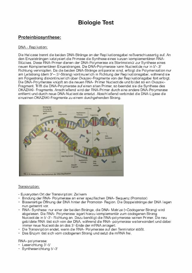 Know molekular Genetik  thumbnail