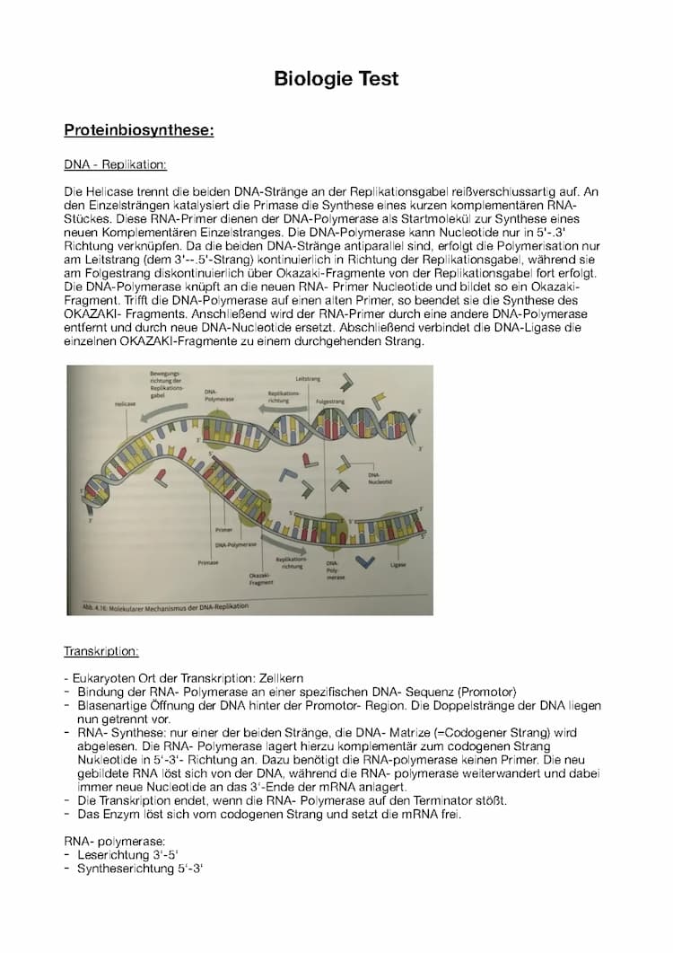 Know molekular Genetik  thumbnail