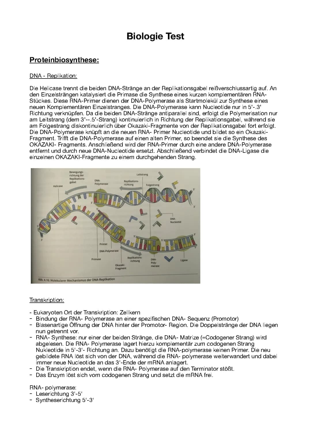 Einfach erklärt: Molekular Genetik und DNA-Replikation