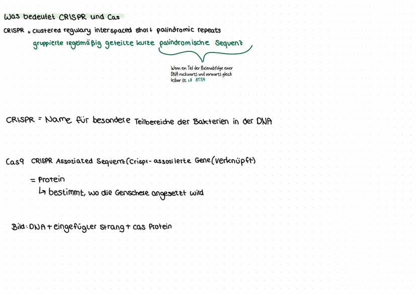 CRISPR CAS9
A Allgemein-was ist dieses CRISPR-Cas überhaupt?
2 Bedeutung des Wortes
3 Funktion
4 Ablauf
5 Risiken und Folgen, eingehen auf e