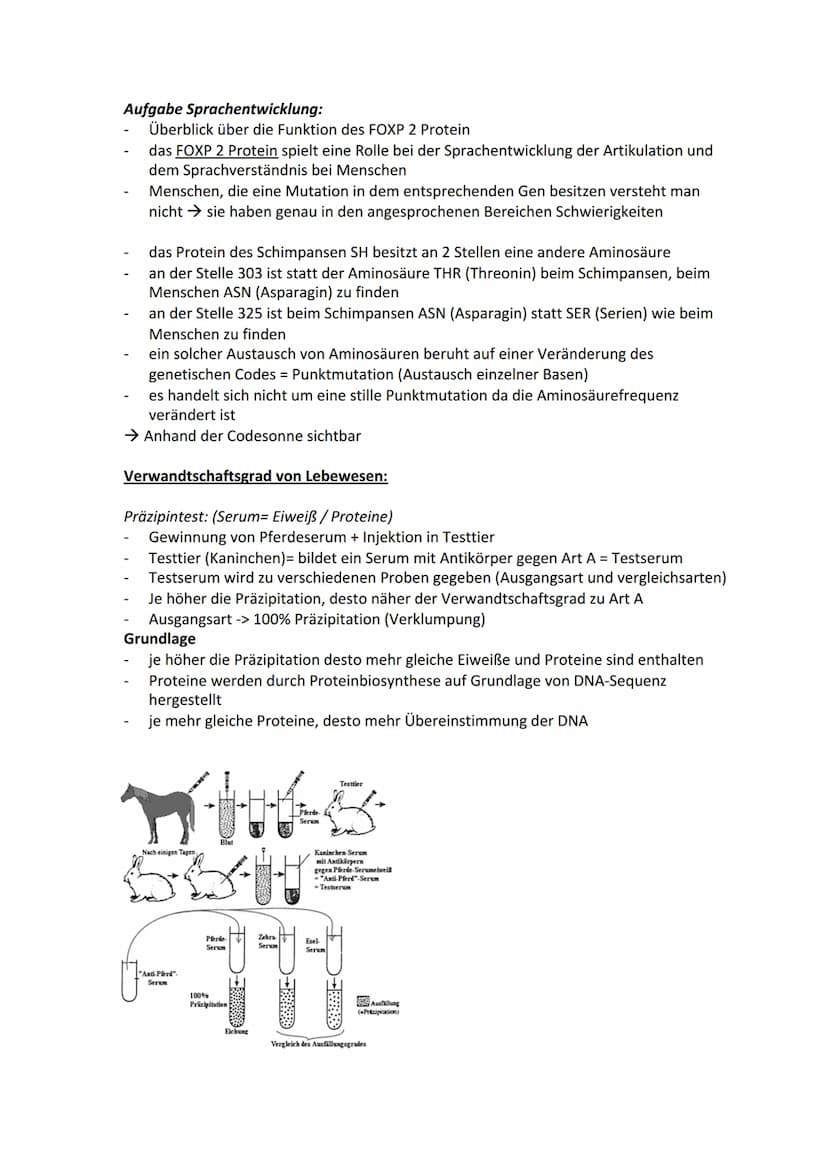 Biologie Themenbereich - ,,Evolution"
Evolution= alle Veränderungen, durch die das Leben auf der Erde zu seiner heutigen Form
und Vielfalt g