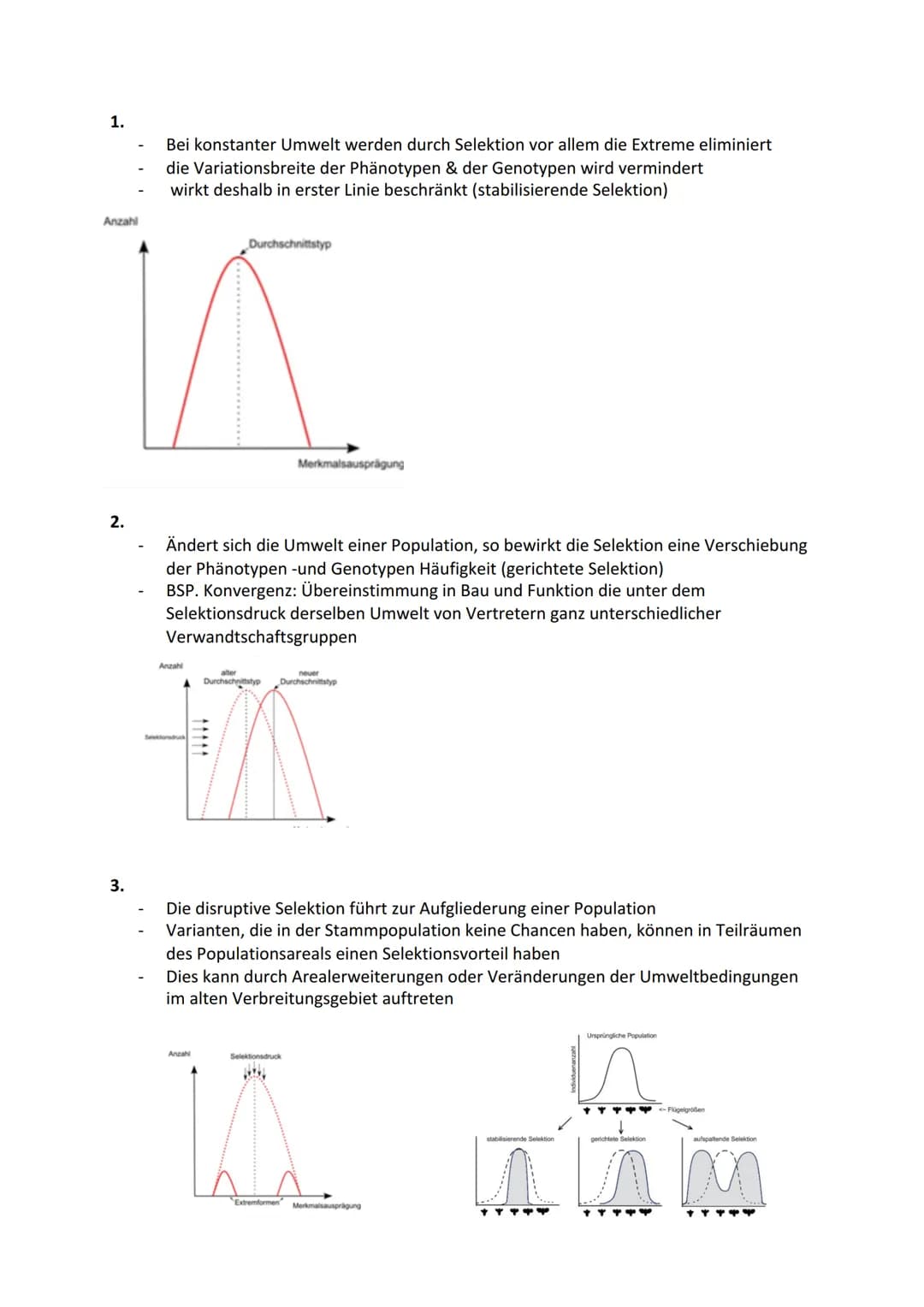 Biologie Themenbereich - ,,Evolution"
Evolution= alle Veränderungen, durch die das Leben auf der Erde zu seiner heutigen Form
und Vielfalt g