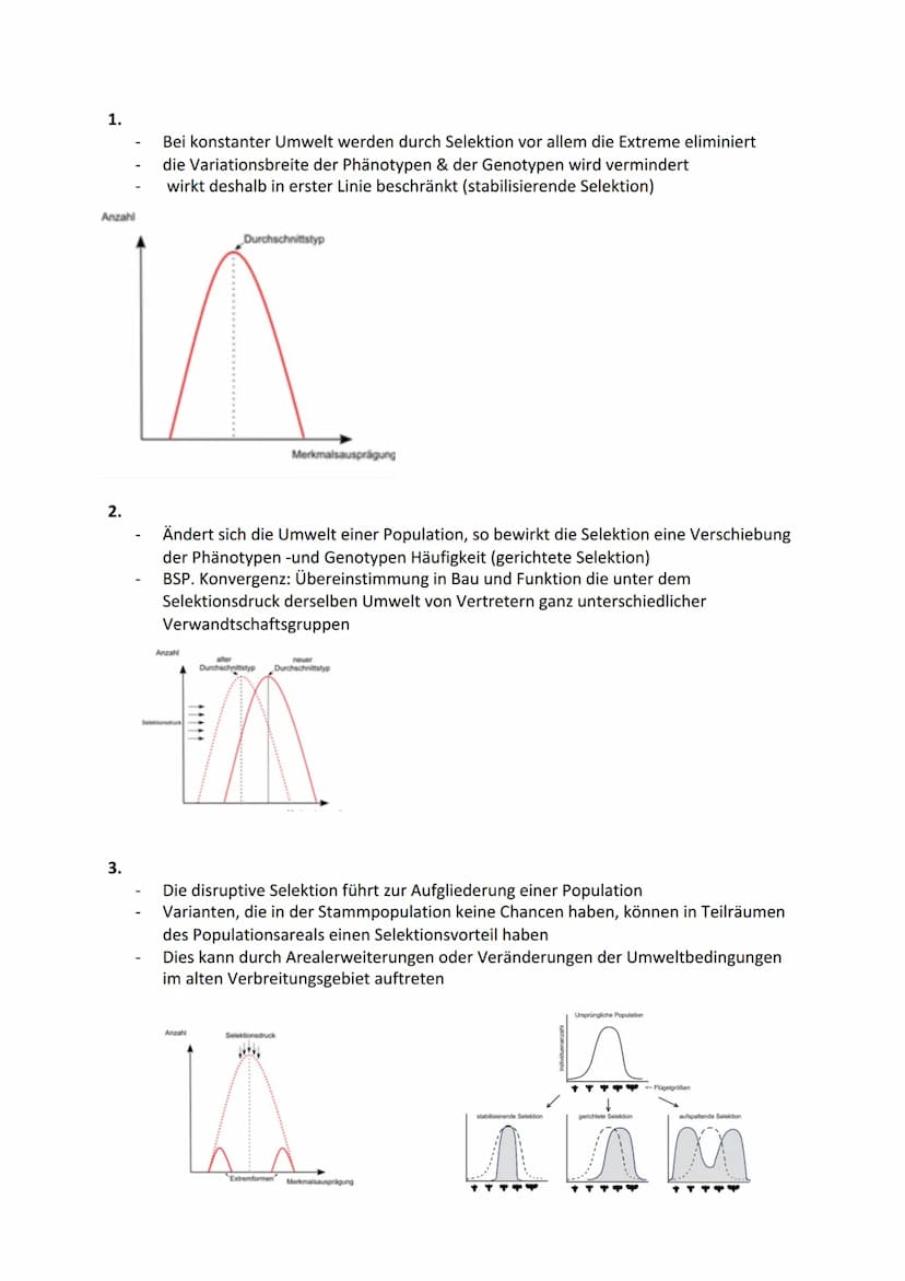 Biologie Themenbereich - ,,Evolution"
Evolution= alle Veränderungen, durch die das Leben auf der Erde zu seiner heutigen Form
und Vielfalt g