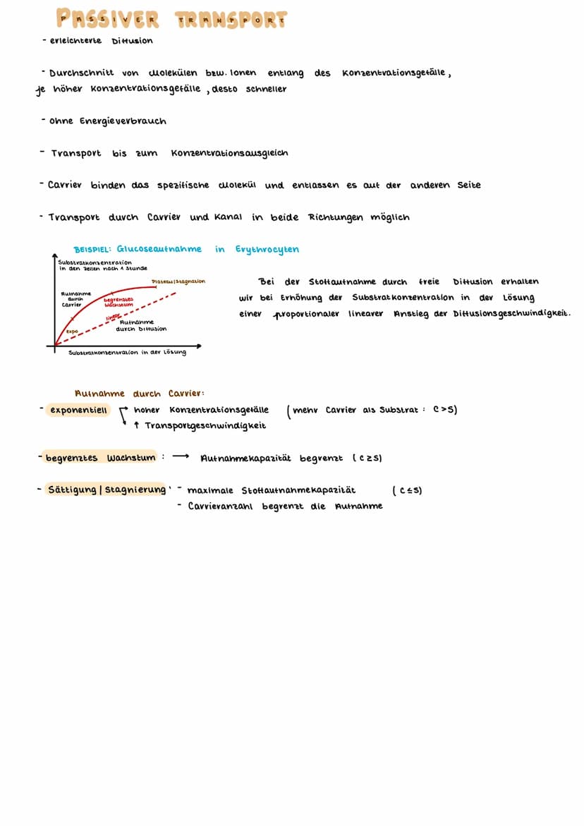 TEINBAU DER ZELLE
PFLANZENZELLE
(Amino suwe
13- ER
14- glatte ER
15- Chloroplast
15a Stroma
15b- Plastiden
15c- Lipidtropten
TIERISCHE ZELLE