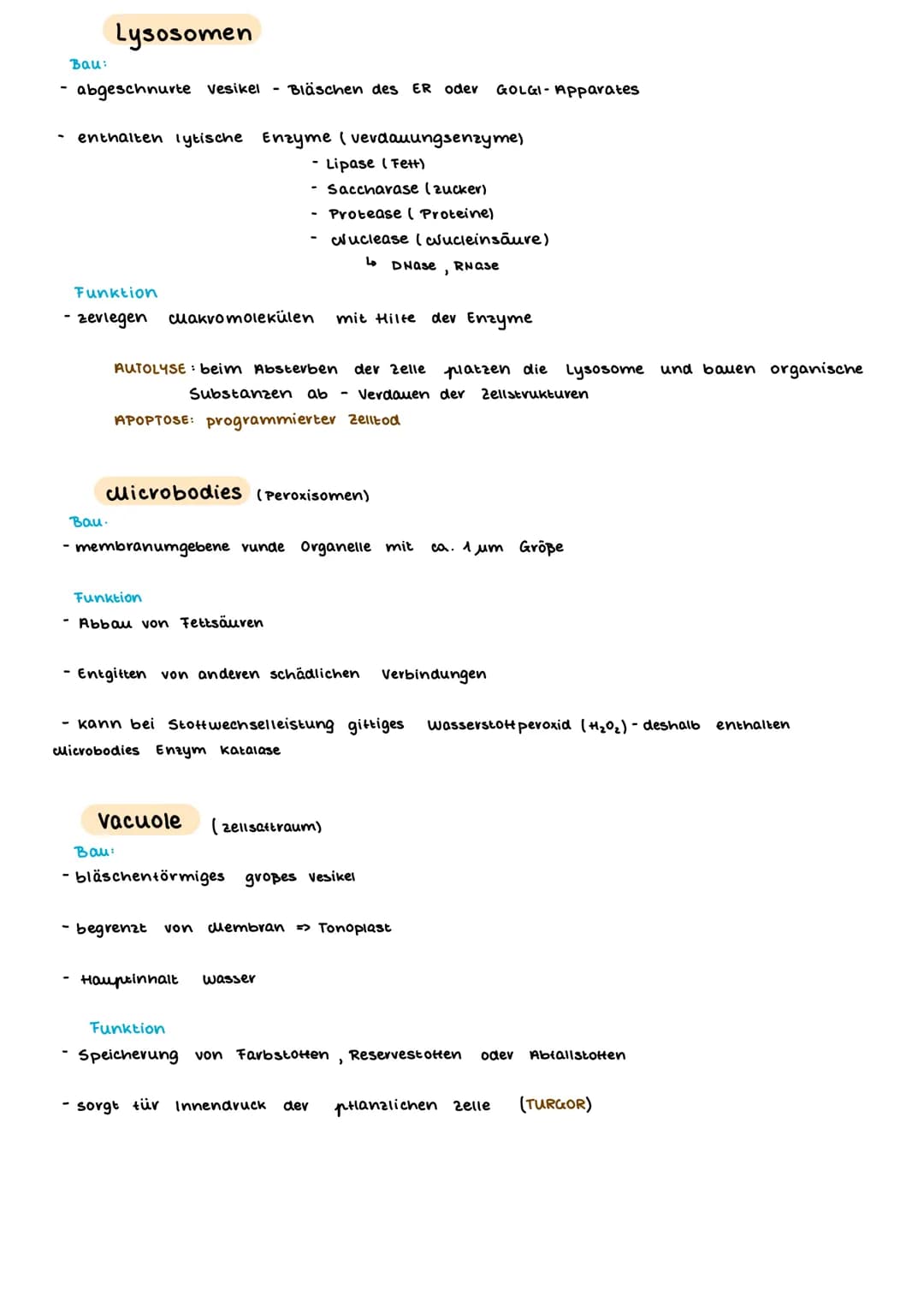 TEINBAU DER ZELLE
PFLANZENZELLE
(Amino suwe
13- ER
14- glatte ER
15- Chloroplast
15a Stroma
15b- Plastiden
15c- Lipidtropten
TIERISCHE ZELLE