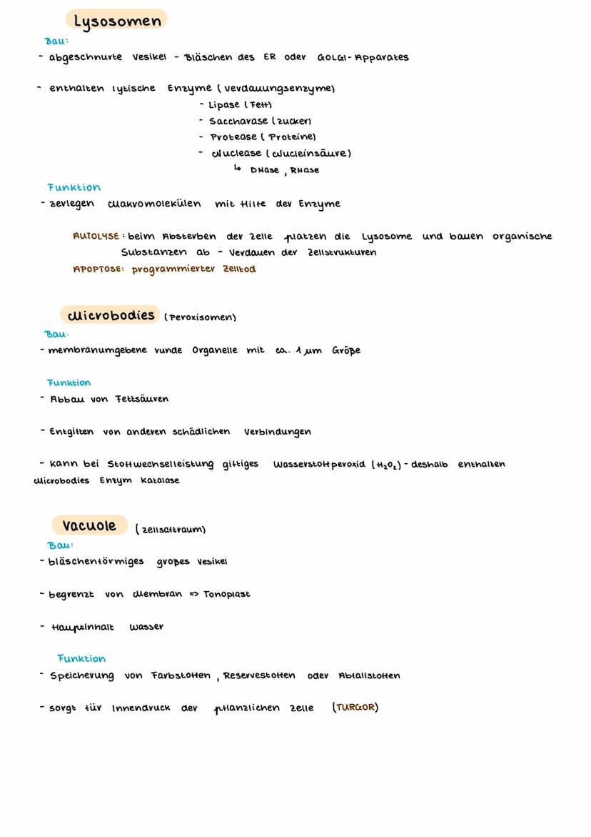 TEINBAU DER ZELLE
PFLANZENZELLE
(Amino suwe
13- ER
14- glatte ER
15- Chloroplast
15a Stroma
15b- Plastiden
15c- Lipidtropten
TIERISCHE ZELLE