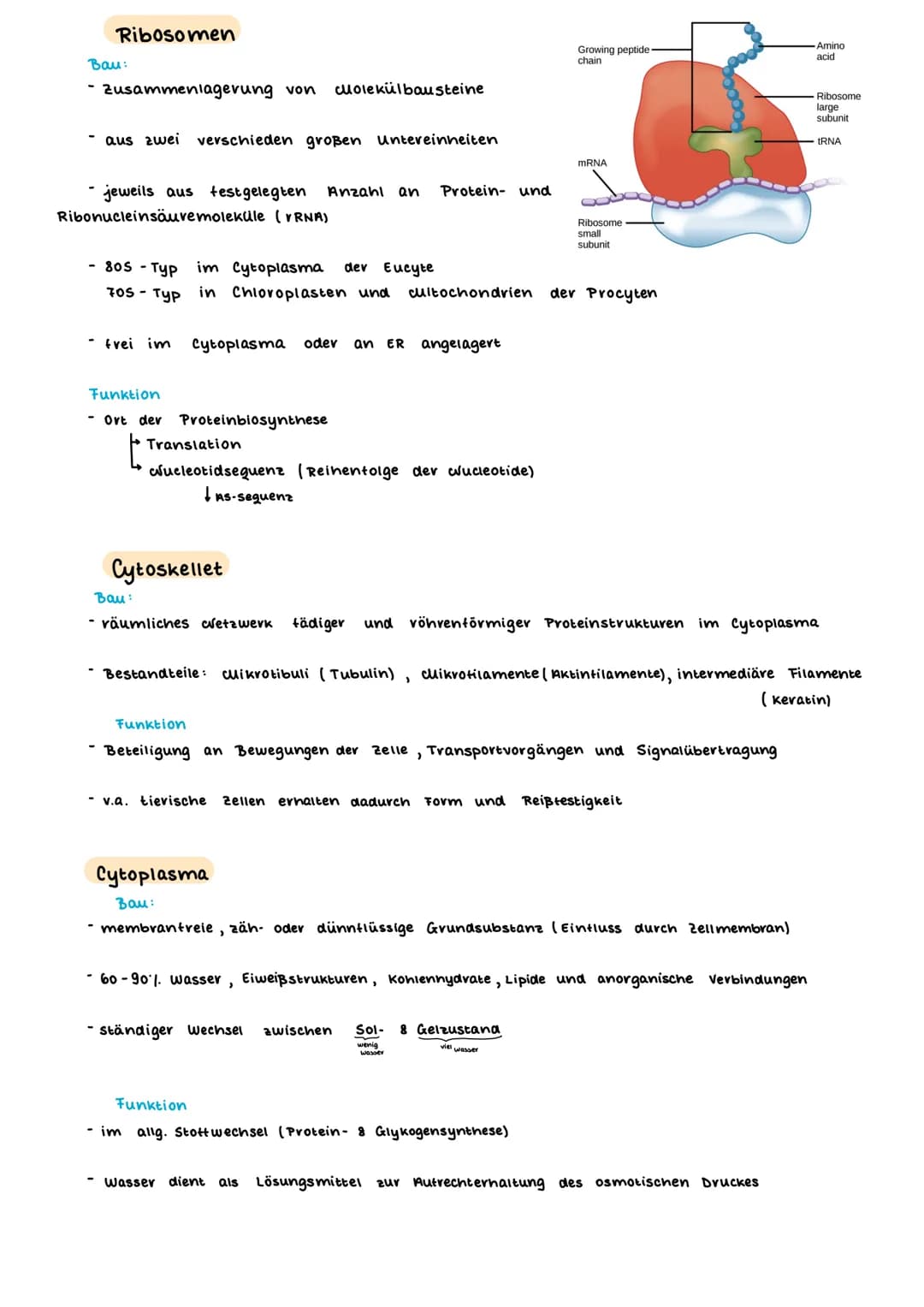 TEINBAU DER ZELLE
PFLANZENZELLE
(Amino suwe
13- ER
14- glatte ER
15- Chloroplast
15a Stroma
15b- Plastiden
15c- Lipidtropten
TIERISCHE ZELLE