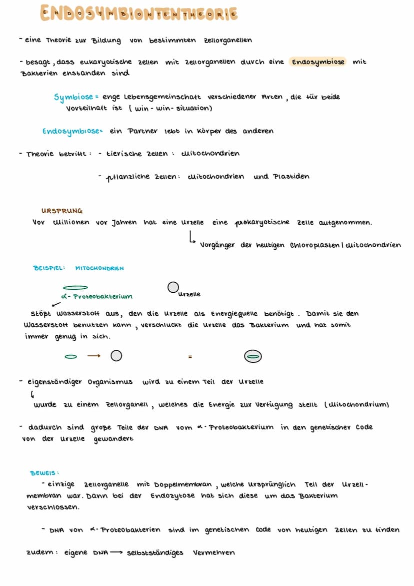 TEINBAU DER ZELLE
PFLANZENZELLE
(Amino suwe
13- ER
14- glatte ER
15- Chloroplast
15a Stroma
15b- Plastiden
15c- Lipidtropten
TIERISCHE ZELLE