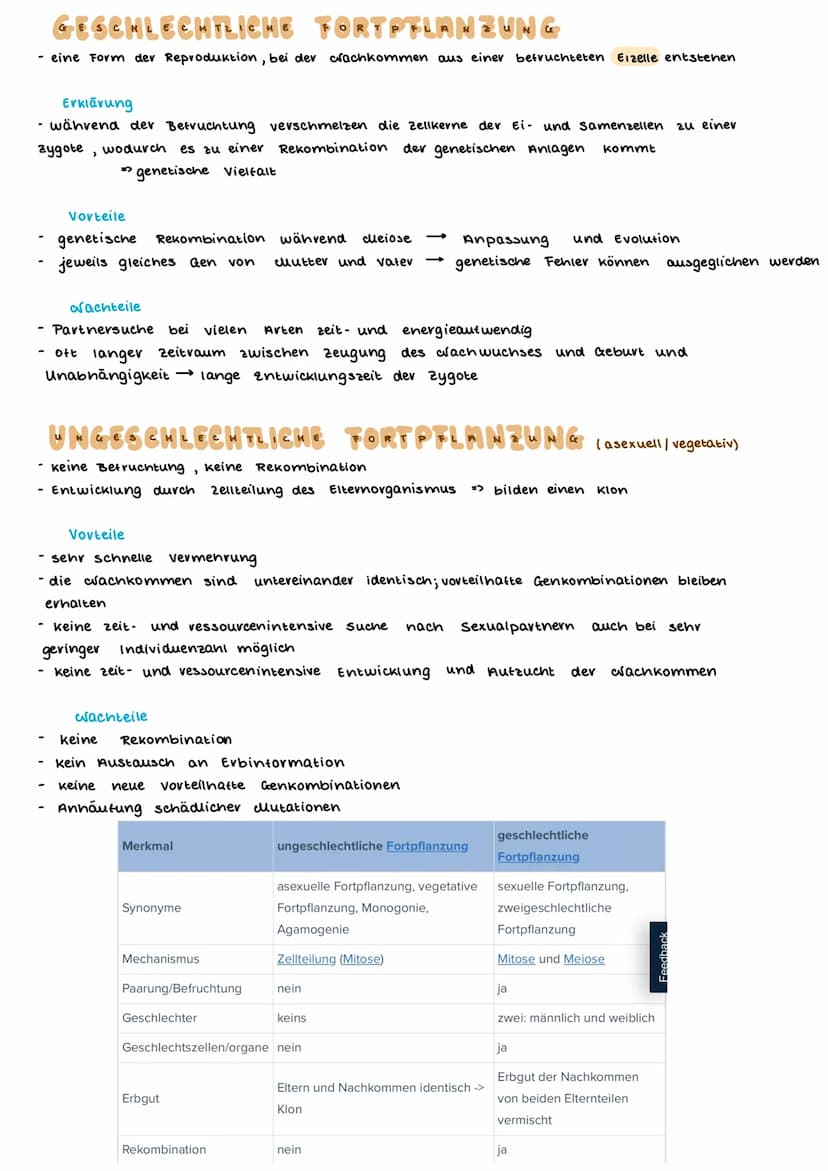 TEINBAU DER ZELLE
PFLANZENZELLE
(Amino suwe
13- ER
14- glatte ER
15- Chloroplast
15a Stroma
15b- Plastiden
15c- Lipidtropten
TIERISCHE ZELLE