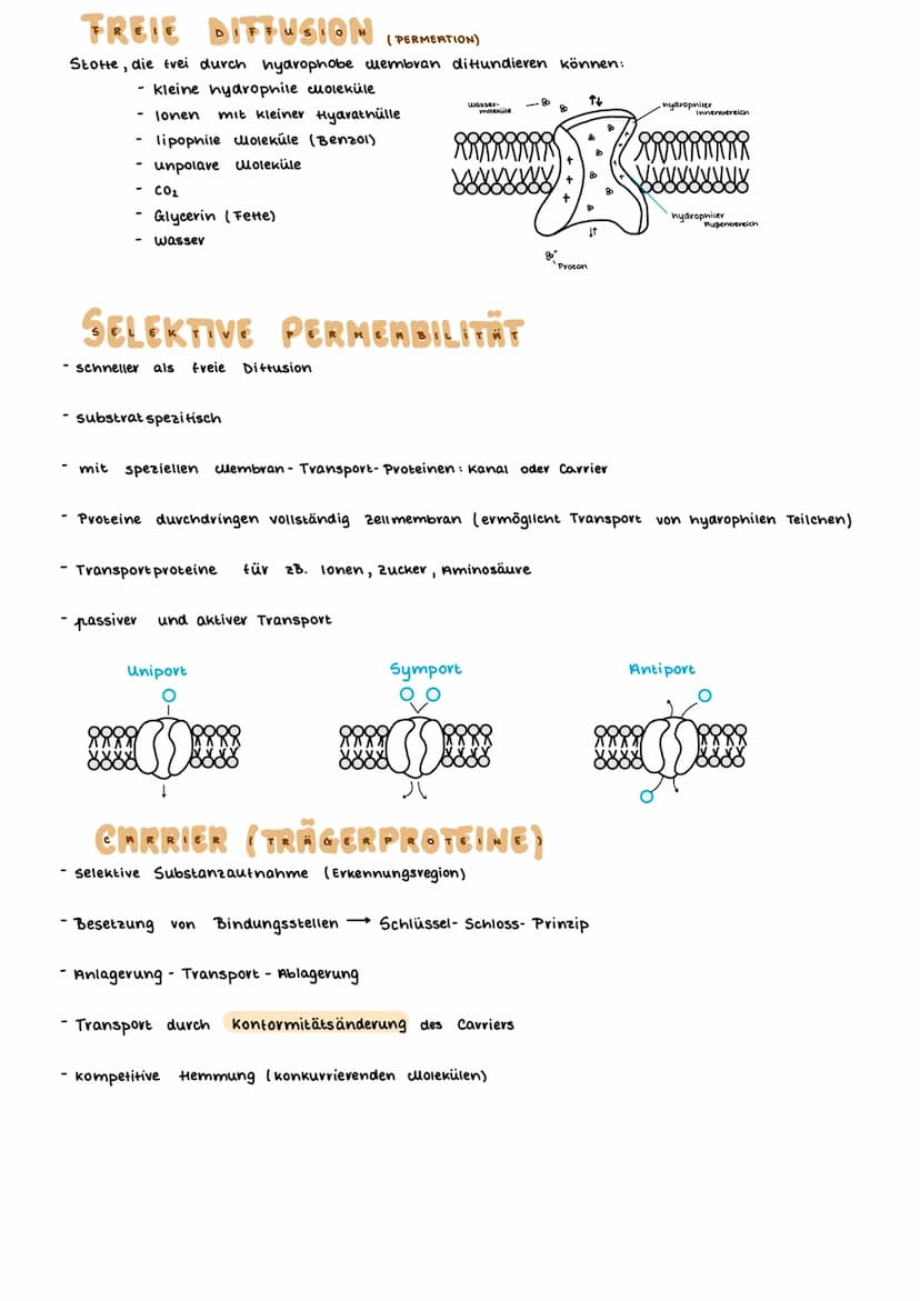 TEINBAU DER ZELLE
PFLANZENZELLE
(Amino suwe
13- ER
14- glatte ER
15- Chloroplast
15a Stroma
15b- Plastiden
15c- Lipidtropten
TIERISCHE ZELLE