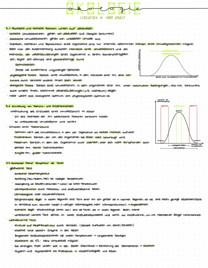 عنه مهمهة
LEBEWESEN IN IHRER UMWELT.
5. Abiotische und biotische Faktoren wirken auf Lebewesen
•biotische Umweltfaktoren: gehen von Lebewese