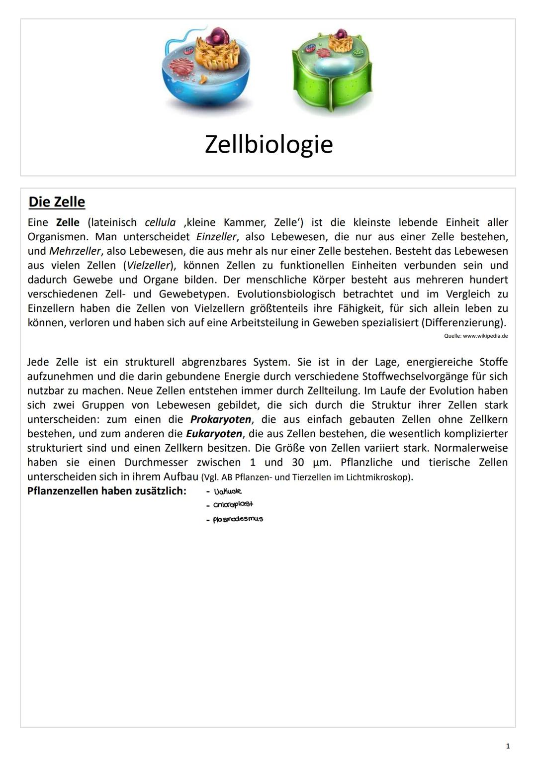 ZELL
ΒΙΟ
LOGIE ZELL
ΒΙΟ
LOGIE C
Zellbiologie
Die Zelle
Eine Zelle (lateinisch cellula ,kleine Kammer, Zelle') ist die kleinste lebende Einhe