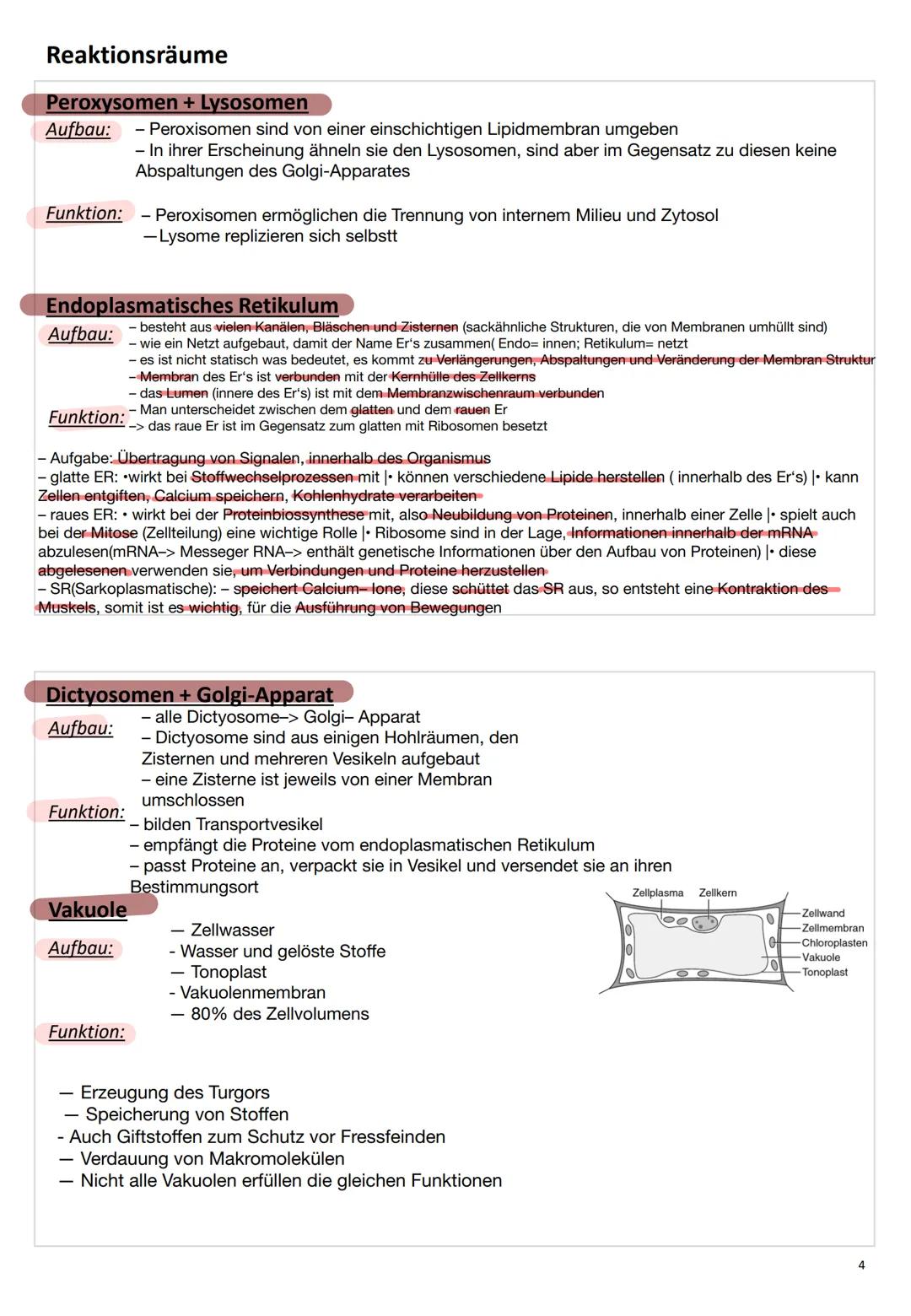 ZELL
ΒΙΟ
LOGIE ZELL
ΒΙΟ
LOGIE C
Zellbiologie
Die Zelle
Eine Zelle (lateinisch cellula ,kleine Kammer, Zelle') ist die kleinste lebende Einhe