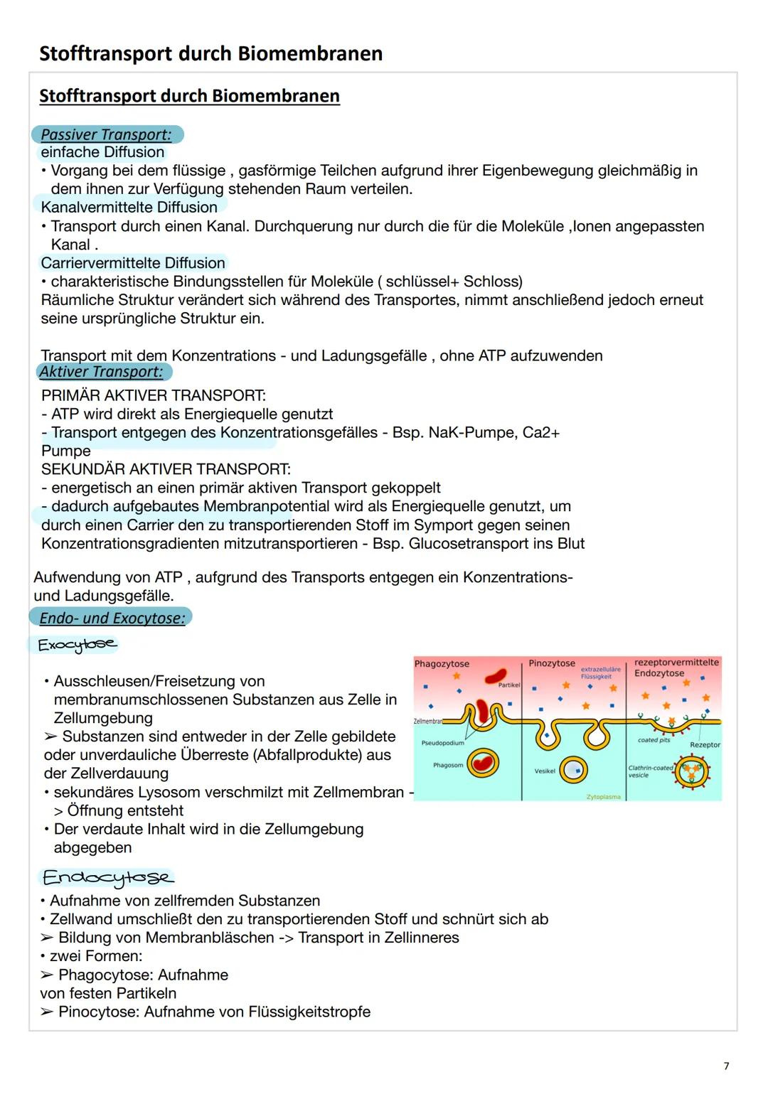 ZELL
ΒΙΟ
LOGIE ZELL
ΒΙΟ
LOGIE C
Zellbiologie
Die Zelle
Eine Zelle (lateinisch cellula ,kleine Kammer, Zelle') ist die kleinste lebende Einhe