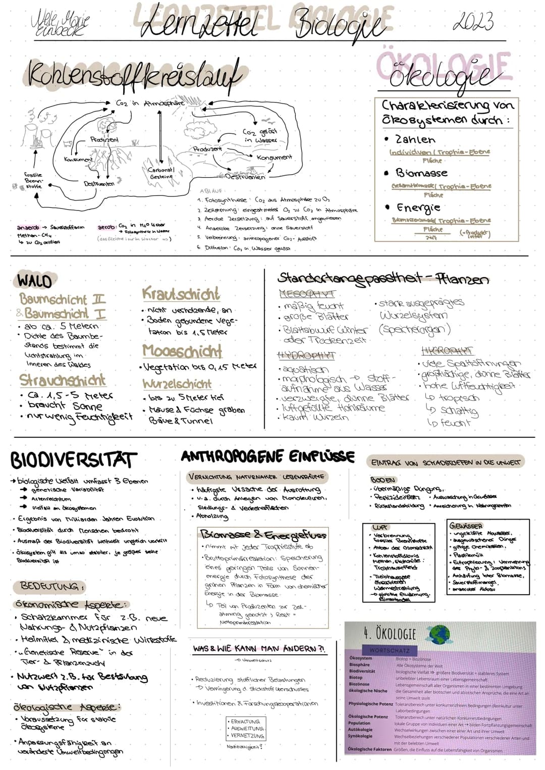 Jelek M.Gobocie biologic abitur
Einbeck
abiotisch
●
physikalischer oder → Light, Wasser,
Chemischer Natur ·Temp.. PH-Wert.
ökologische Poten