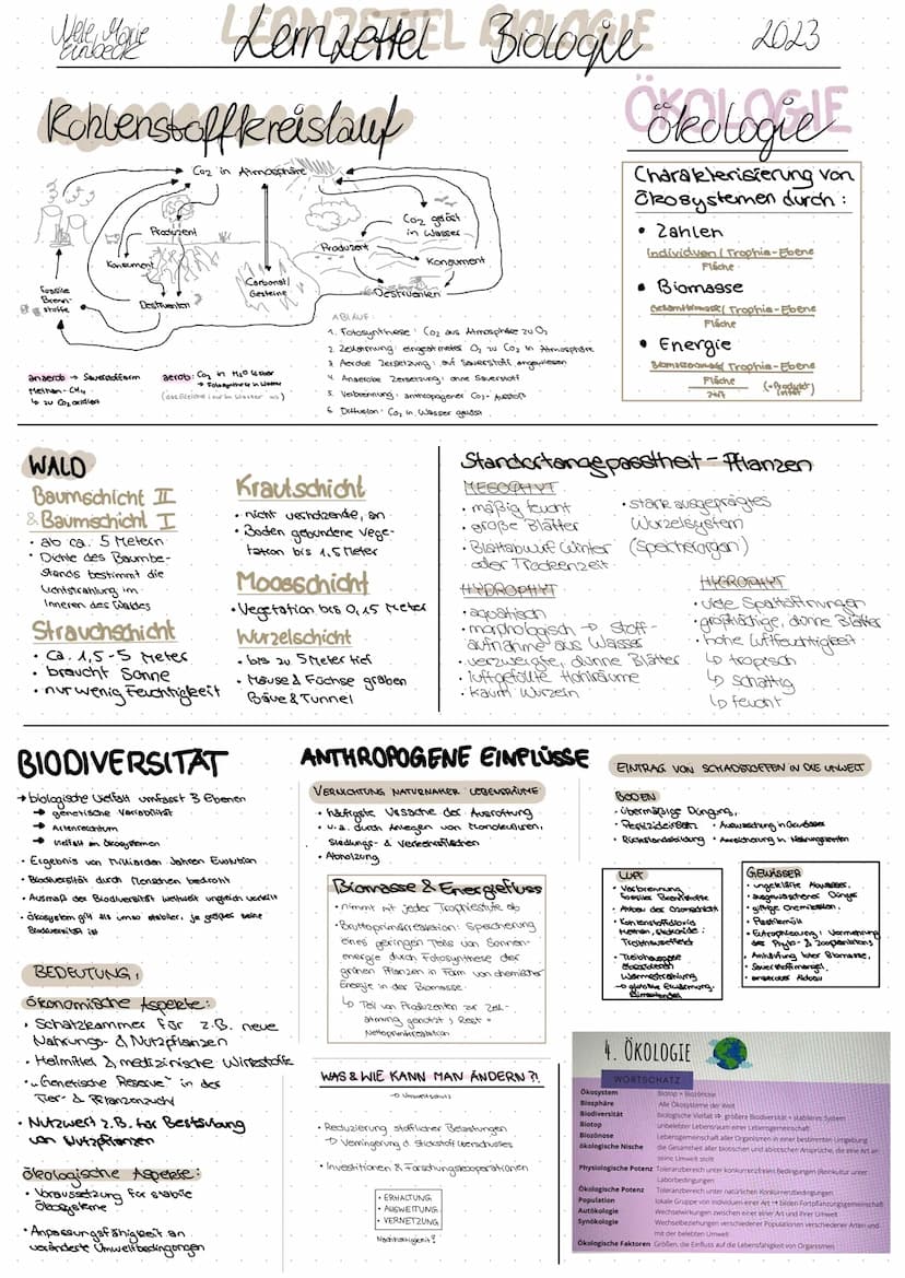 Jelek M.Gobocie biologic abitur
Einbeck
abiotisch
●
physikalischer oder → Light, Wasser,
Chemischer Natur ·Temp.. PH-Wert.
ökologische Poten