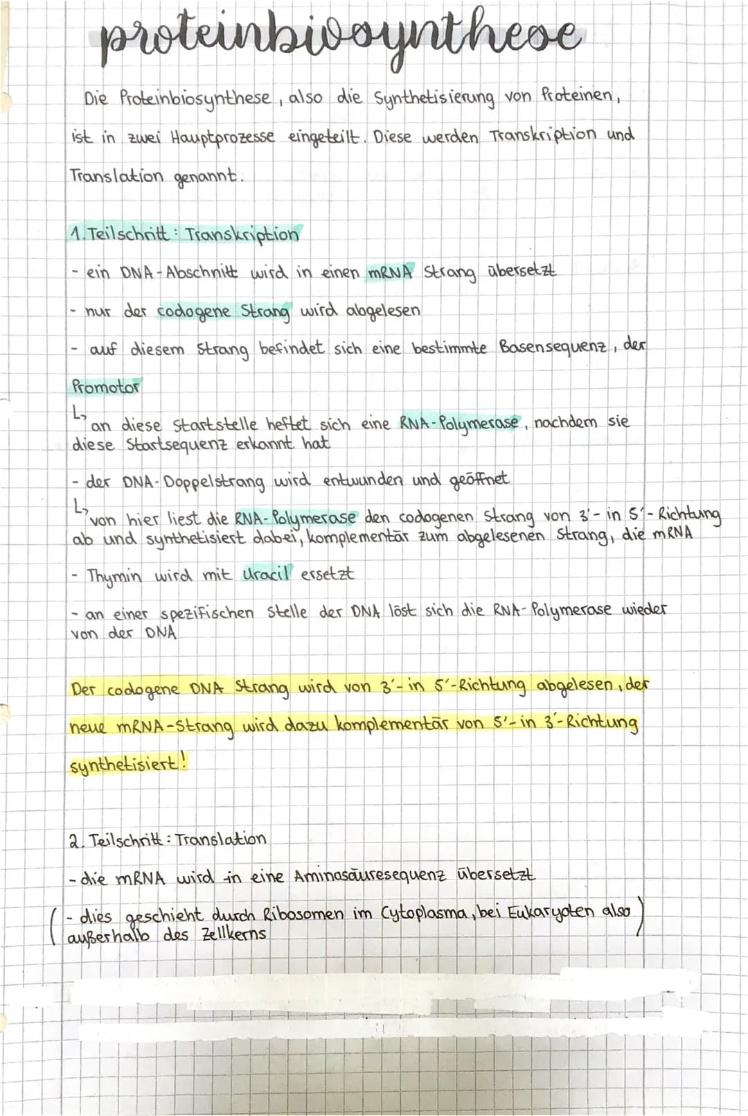 Bio Lemzettel 2. Klausur
*
mitove
Als Mitose wird eine Kernteile bezeichnet, an der sich eine
Teilung der
Mutterzelle in zwei, mit der Mutte
