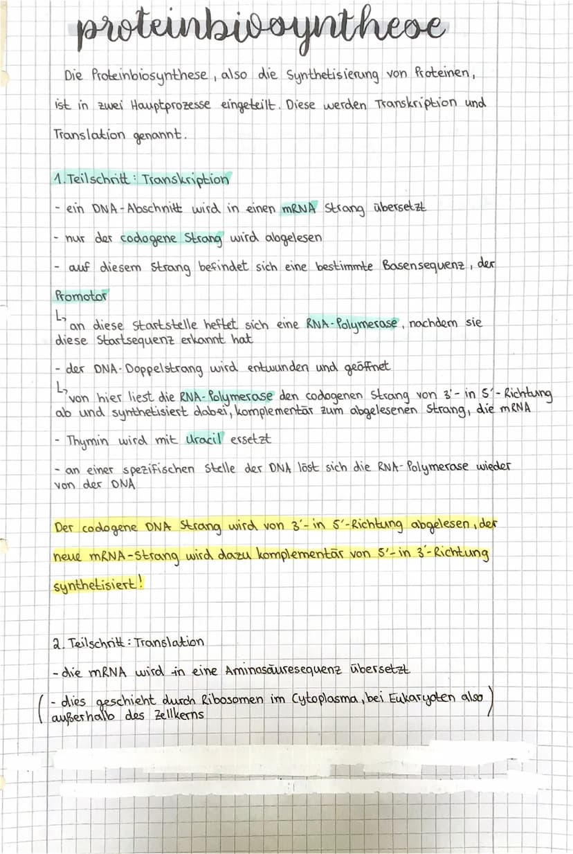 Bio Lemzettel 2. Klausur
*
mitove
Als Mitose wird eine Kernteile bezeichnet, an der sich eine
Teilung der
Mutterzelle in zwei, mit der Mutte