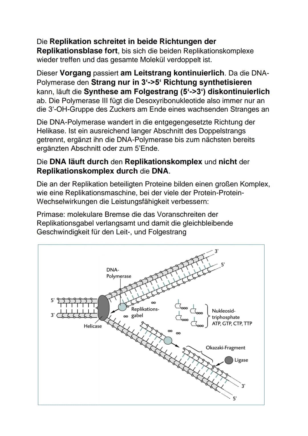 Lernblatt Biologie DNA: Aufbau
DNA= deoxyribonucleic acid
DNS Desoxyribonucleinsäure
Aufbau der DNA:
● Phosphatrest
●
Zucker Desoxyribose (i