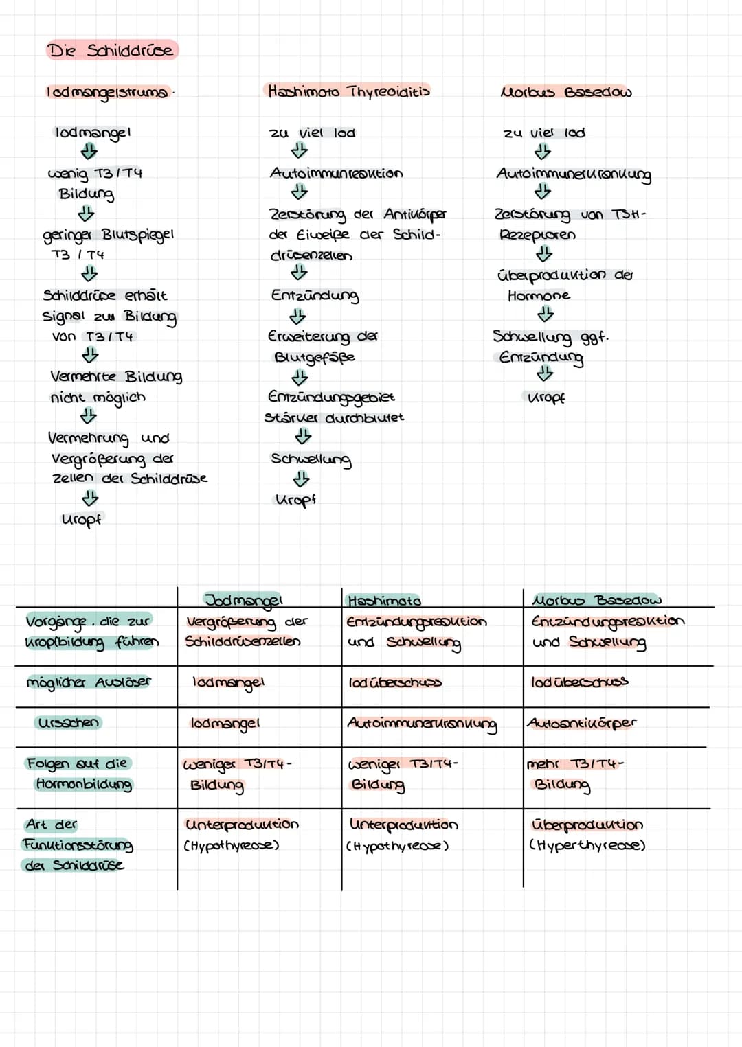 Hormone
·chemische Botenstoffe
• Proteine
• übermitteln von Informationen
Regulation von Körpervorgängen: Ernährung, Stoffwechsel, Blutdruck