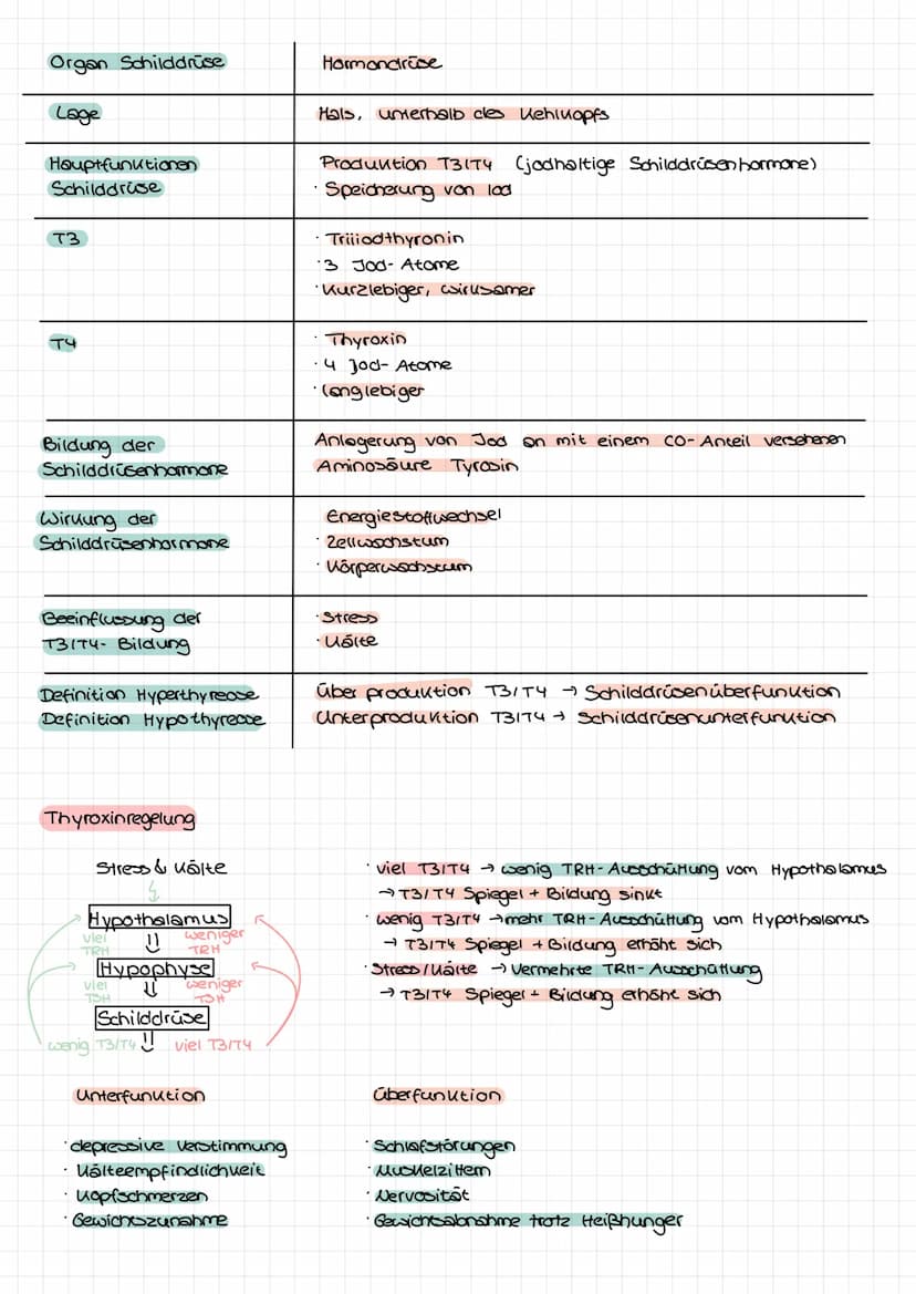 Hormone
·chemische Botenstoffe
• Proteine
• übermitteln von Informationen
Regulation von Körpervorgängen: Ernährung, Stoffwechsel, Blutdruck