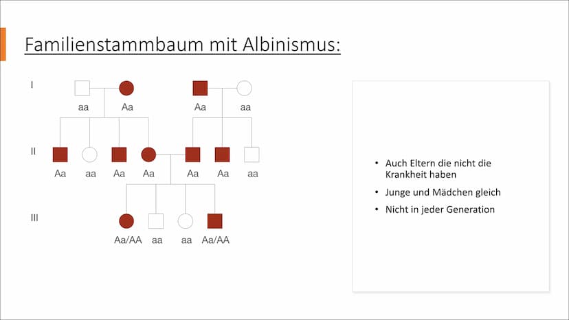 ALBINISMUS
BY
VON IPEK UND LABINA AGENDA:
Was ist Albinismus?
Albino Menschen
Albino Tiere
Familienbaumstamm der Albinus
Symptome und Beschw