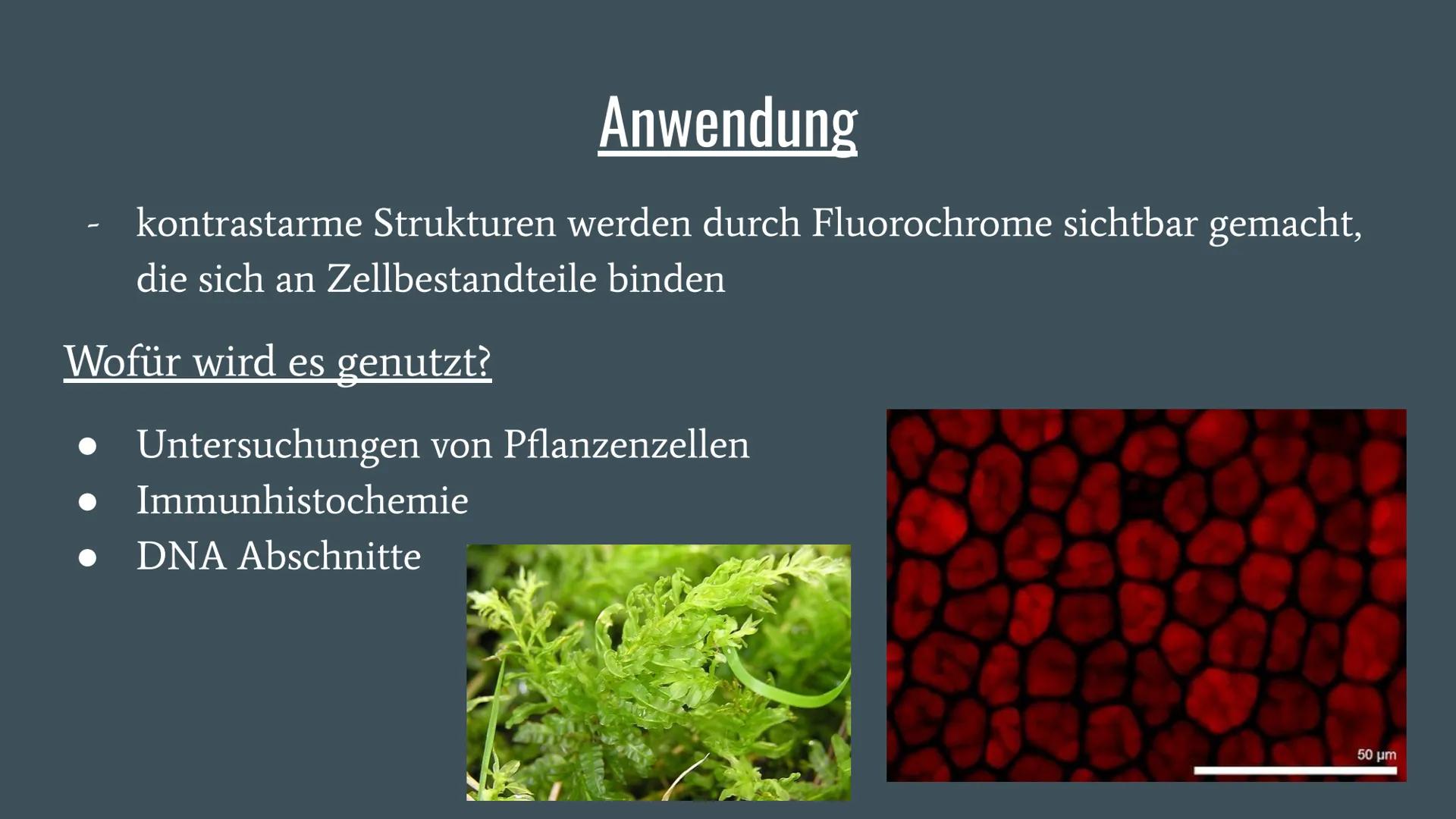 Fluoreszenzmikroskopie Was ist die Fluoreszenzmikroskopie?
Variante der Lichtmikroskopie
ein Stoff wird von einem (Anregungs-) Licht bestrah