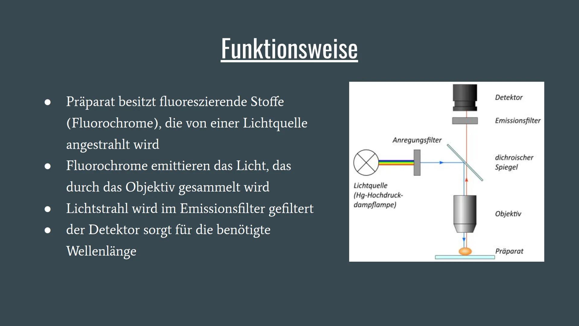 Fluoreszenzmikroskopie Was ist die Fluoreszenzmikroskopie?
Variante der Lichtmikroskopie
ein Stoff wird von einem (Anregungs-) Licht bestrah