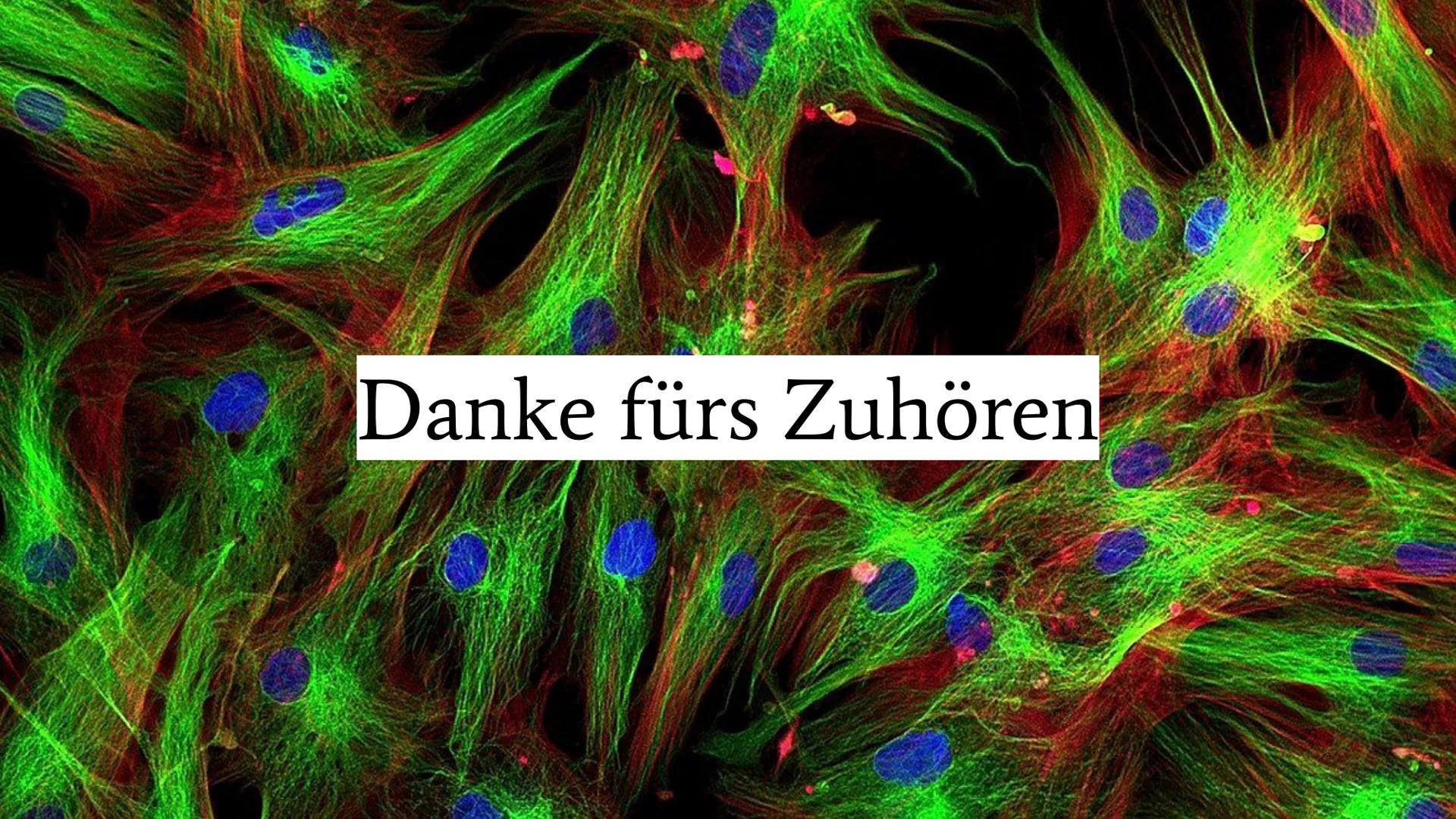 Fluoreszenzmikroskopie Was ist die Fluoreszenzmikroskopie?
Variante der Lichtmikroskopie
ein Stoff wird von einem (Anregungs-) Licht bestrah