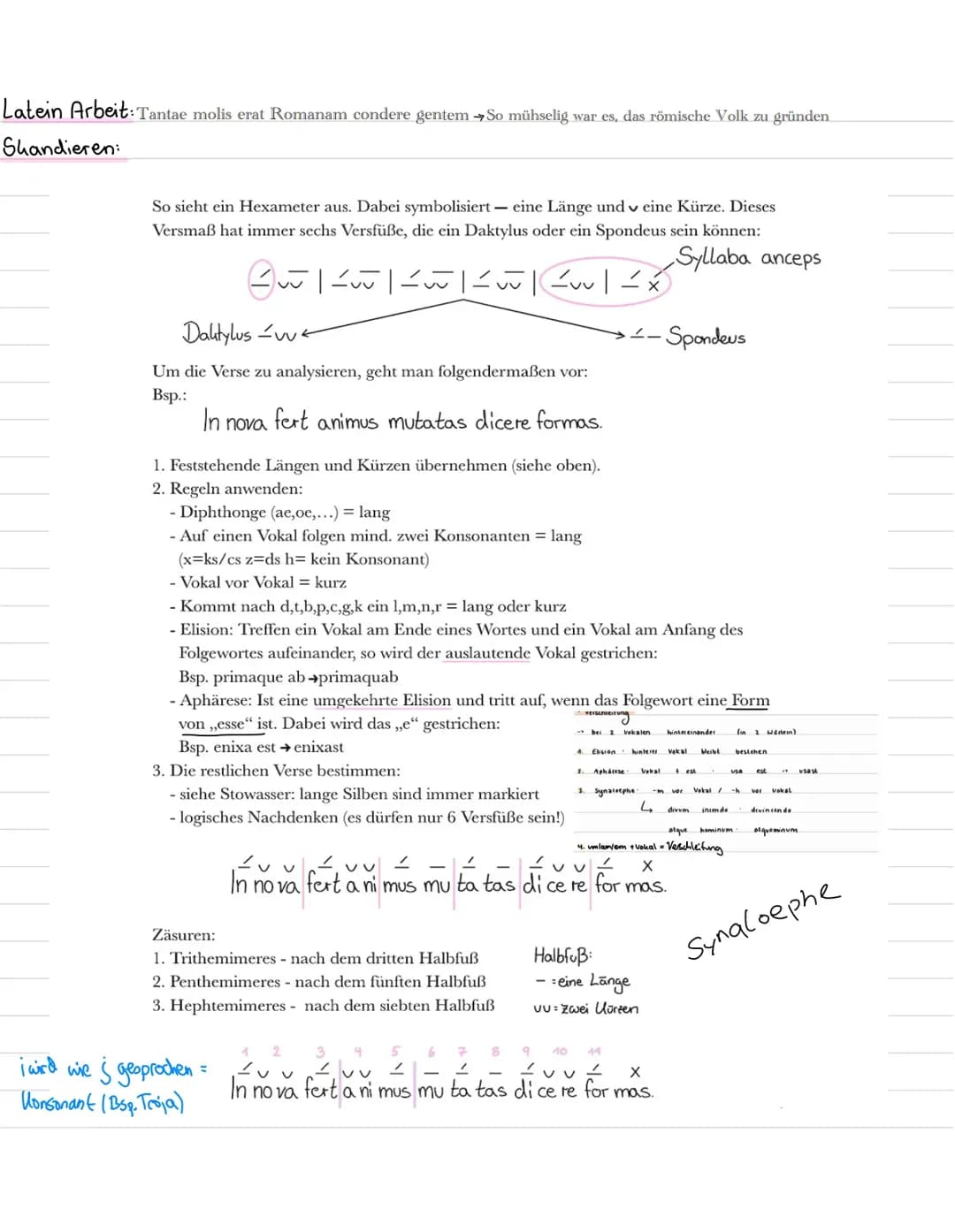 Gramatik und Vergil Latein Lernzettel 