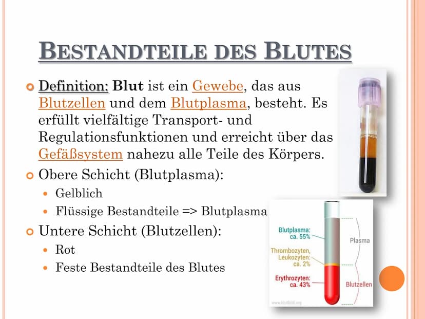 wow
DAS BLUT GLIEDERUNG
o Allgemeines über Blut
o Bestandteile des Blutes
o Funktionen des Blutes
o Rote Blutzellen
o Weiße Blutzellen
o Blu
