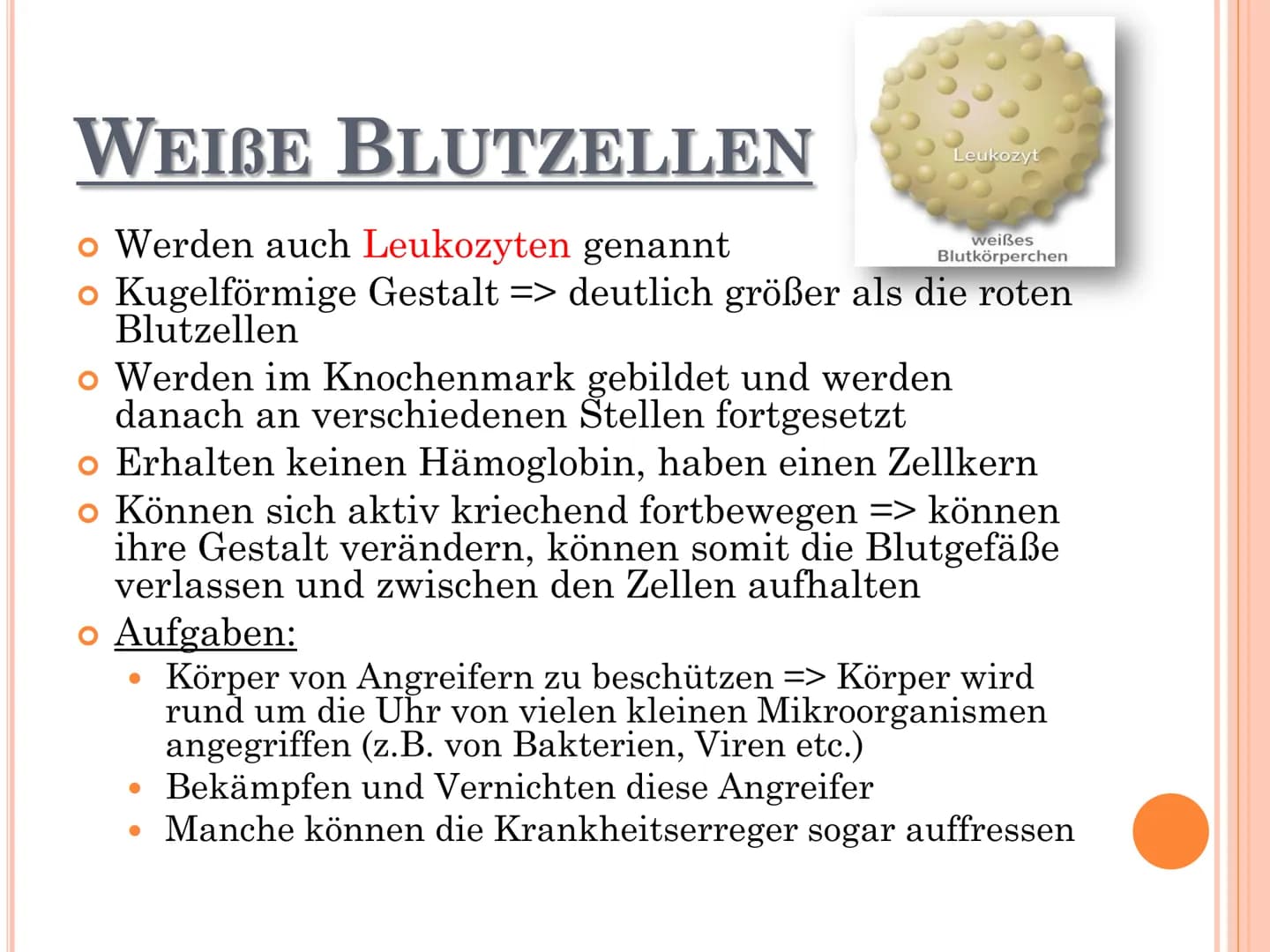 wow
DAS BLUT GLIEDERUNG
o Allgemeines über Blut
o Bestandteile des Blutes
o Funktionen des Blutes
o Rote Blutzellen
o Weiße Blutzellen
o Blu