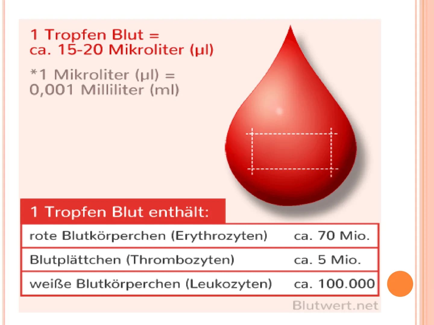 wow
DAS BLUT GLIEDERUNG
o Allgemeines über Blut
o Bestandteile des Blutes
o Funktionen des Blutes
o Rote Blutzellen
o Weiße Blutzellen
o Blu