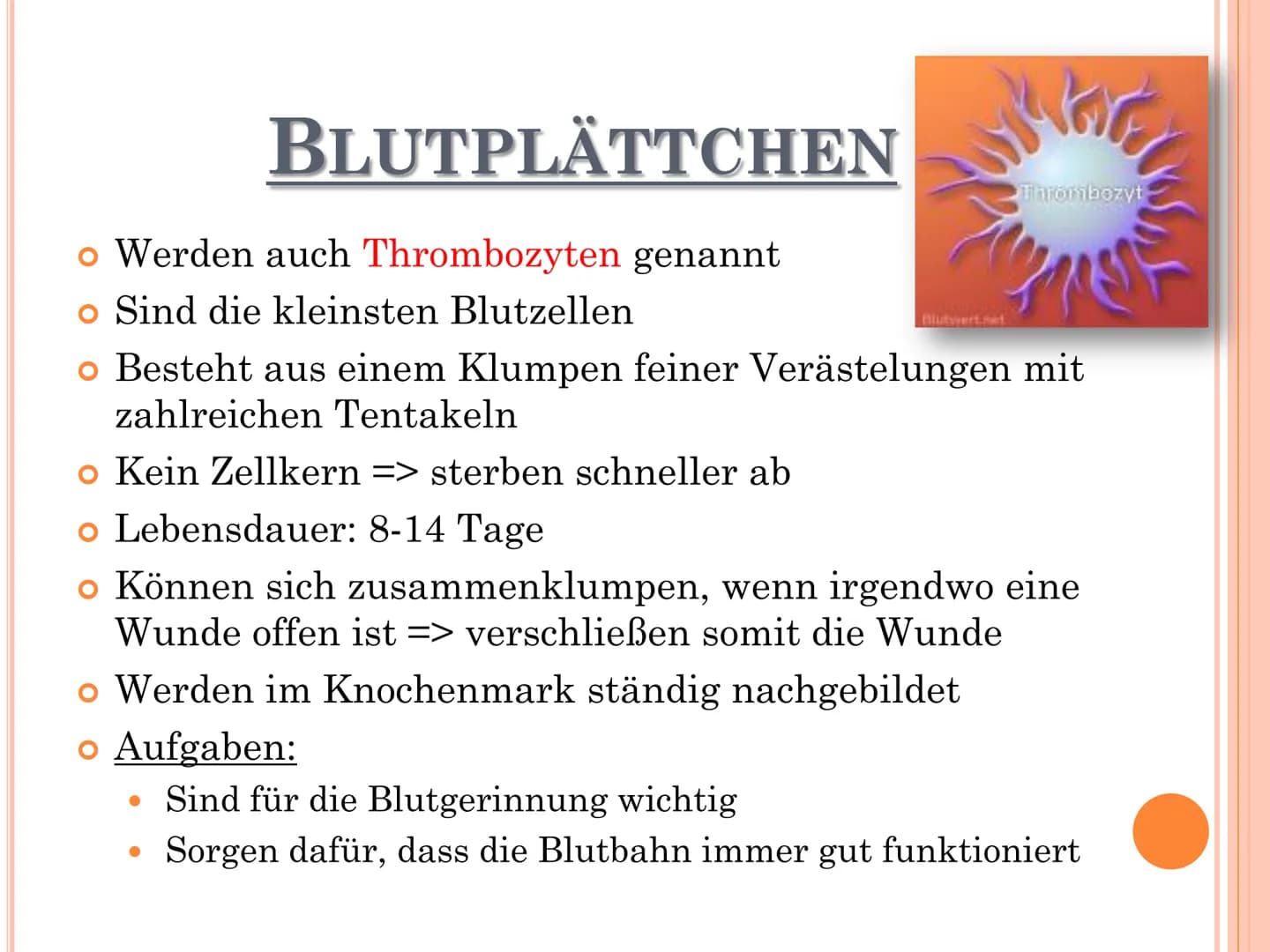 wow
DAS BLUT GLIEDERUNG
o Allgemeines über Blut
o Bestandteile des Blutes
o Funktionen des Blutes
o Rote Blutzellen
o Weiße Blutzellen
o Blu