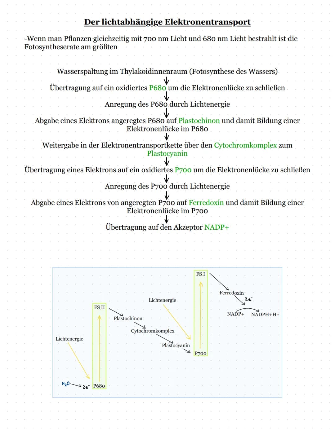 Dessimilation: Der Abbau von Körpereigenen/ Energiereichen Stoffen in Energiearme
Substanzen->Zellatmung
Katabolismus: Energiestoffwechsel
G