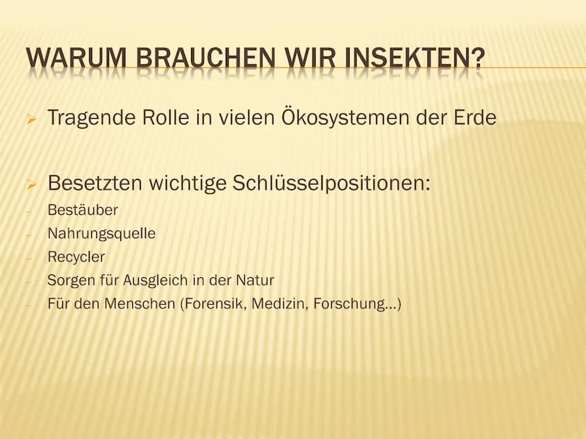 1. Insektensterben
Warum brauchen wir Insekten?
➤ Tragende Rolle in vielen Ökosystemen der Erde
➤ Besetzen wichtige Schlüsselpositionen:
● B