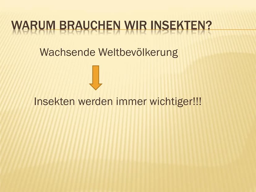1. Insektensterben
Warum brauchen wir Insekten?
➤ Tragende Rolle in vielen Ökosystemen der Erde
➤ Besetzen wichtige Schlüsselpositionen:
● B