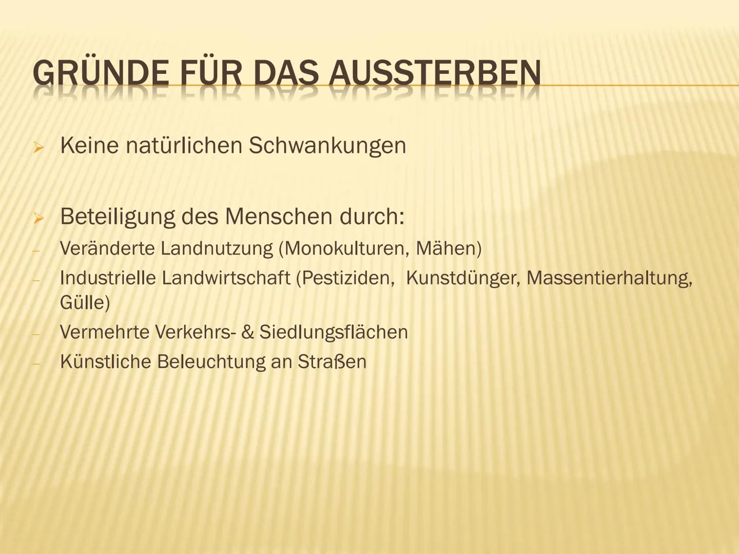 1. Insektensterben
Warum brauchen wir Insekten?
➤ Tragende Rolle in vielen Ökosystemen der Erde
➤ Besetzen wichtige Schlüsselpositionen:
● B