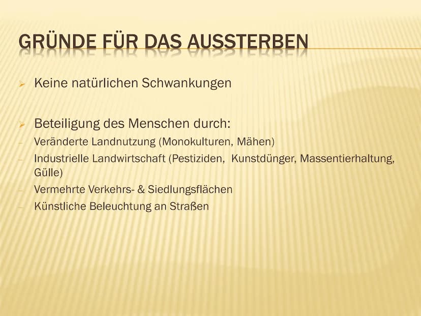 1. Insektensterben
Warum brauchen wir Insekten?
➤ Tragende Rolle in vielen Ökosystemen der Erde
➤ Besetzen wichtige Schlüsselpositionen:
● B