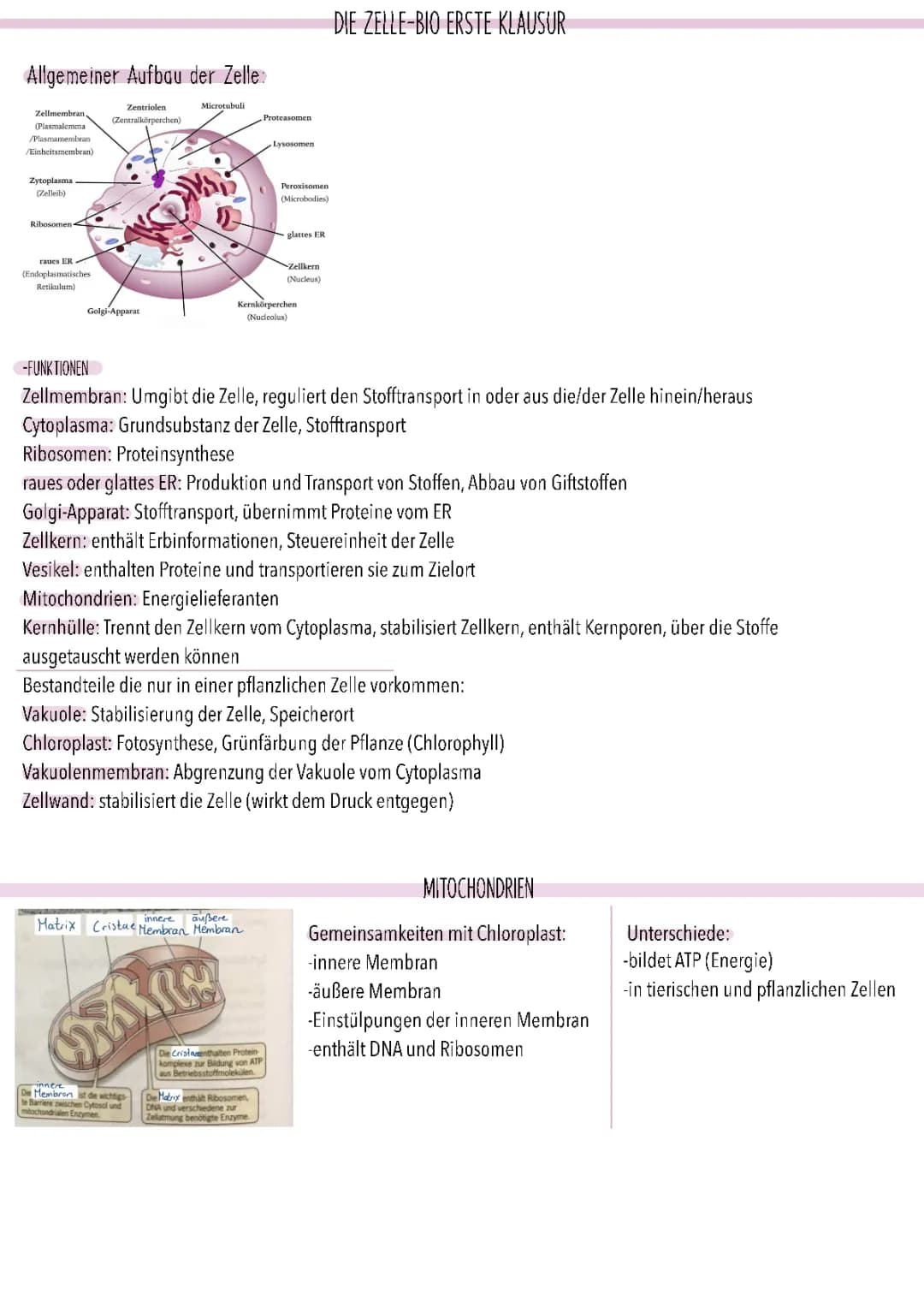 Zellbiologie