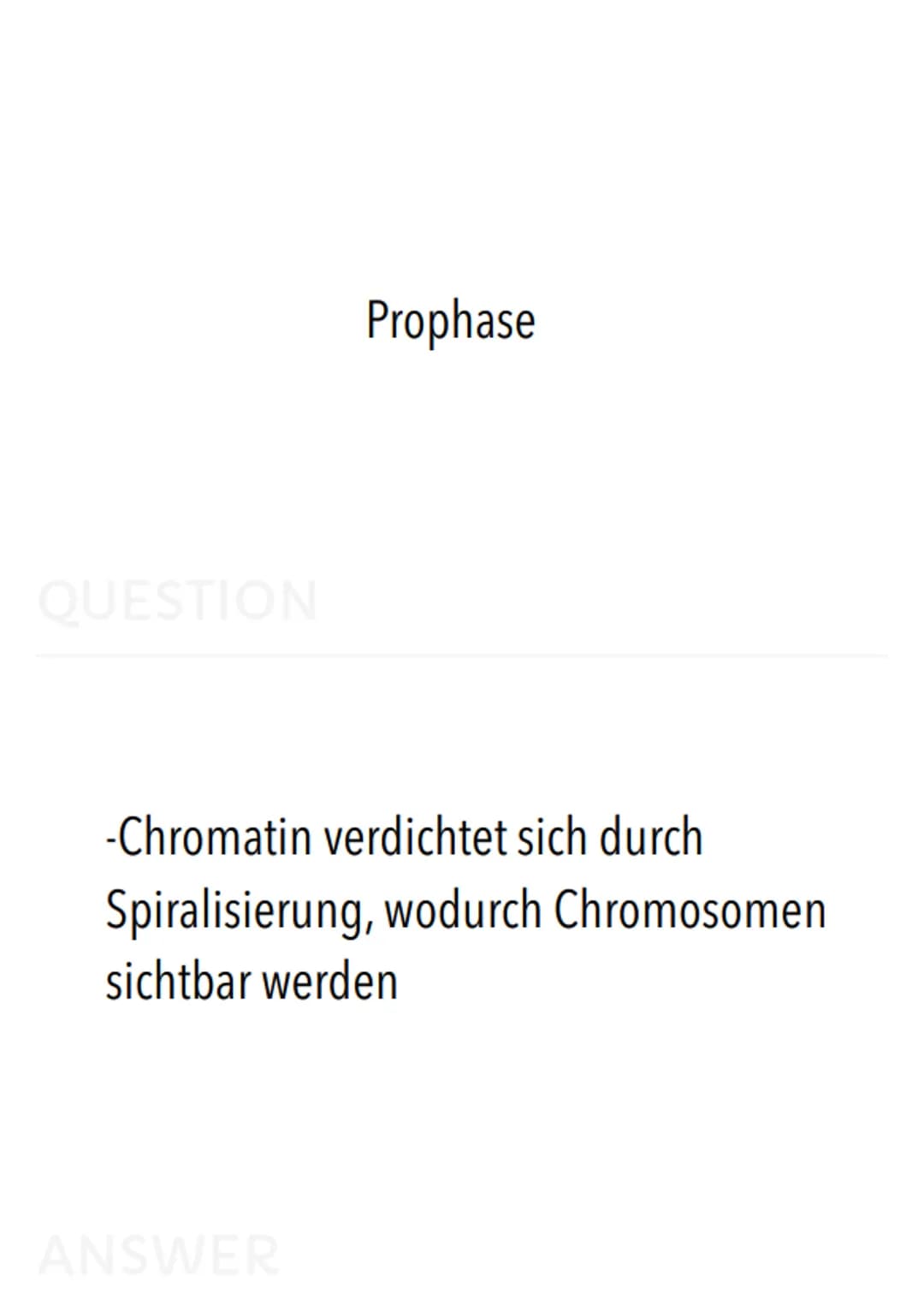 Allgemeiner Aufbau der Zelle:
Zentriolen
(Zentralkörperchen)
Zellmembran.
(Plasmalemma
/Plasmamembran
/Einheitsmembran)
Zytoplasma
(Zelleib)