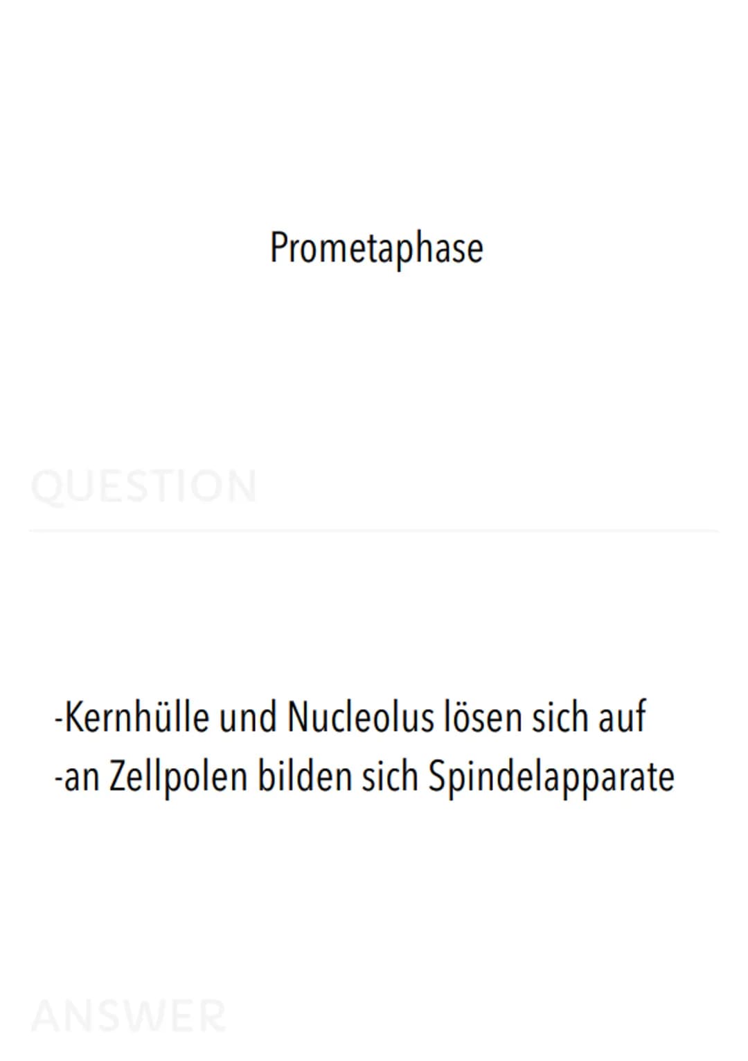 Allgemeiner Aufbau der Zelle:
Zentriolen
(Zentralkörperchen)
Zellmembran.
(Plasmalemma
/Plasmamembran
/Einheitsmembran)
Zytoplasma
(Zelleib)