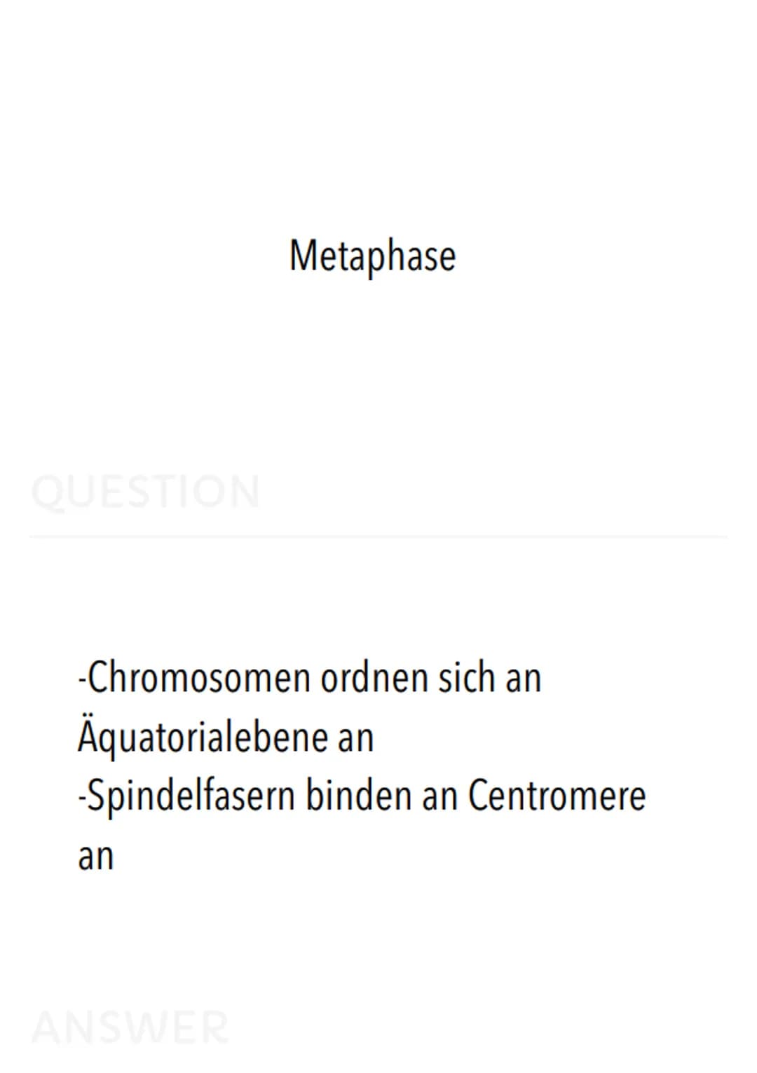 Allgemeiner Aufbau der Zelle:
Zentriolen
(Zentralkörperchen)
Zellmembran.
(Plasmalemma
/Plasmamembran
/Einheitsmembran)
Zytoplasma
(Zelleib)