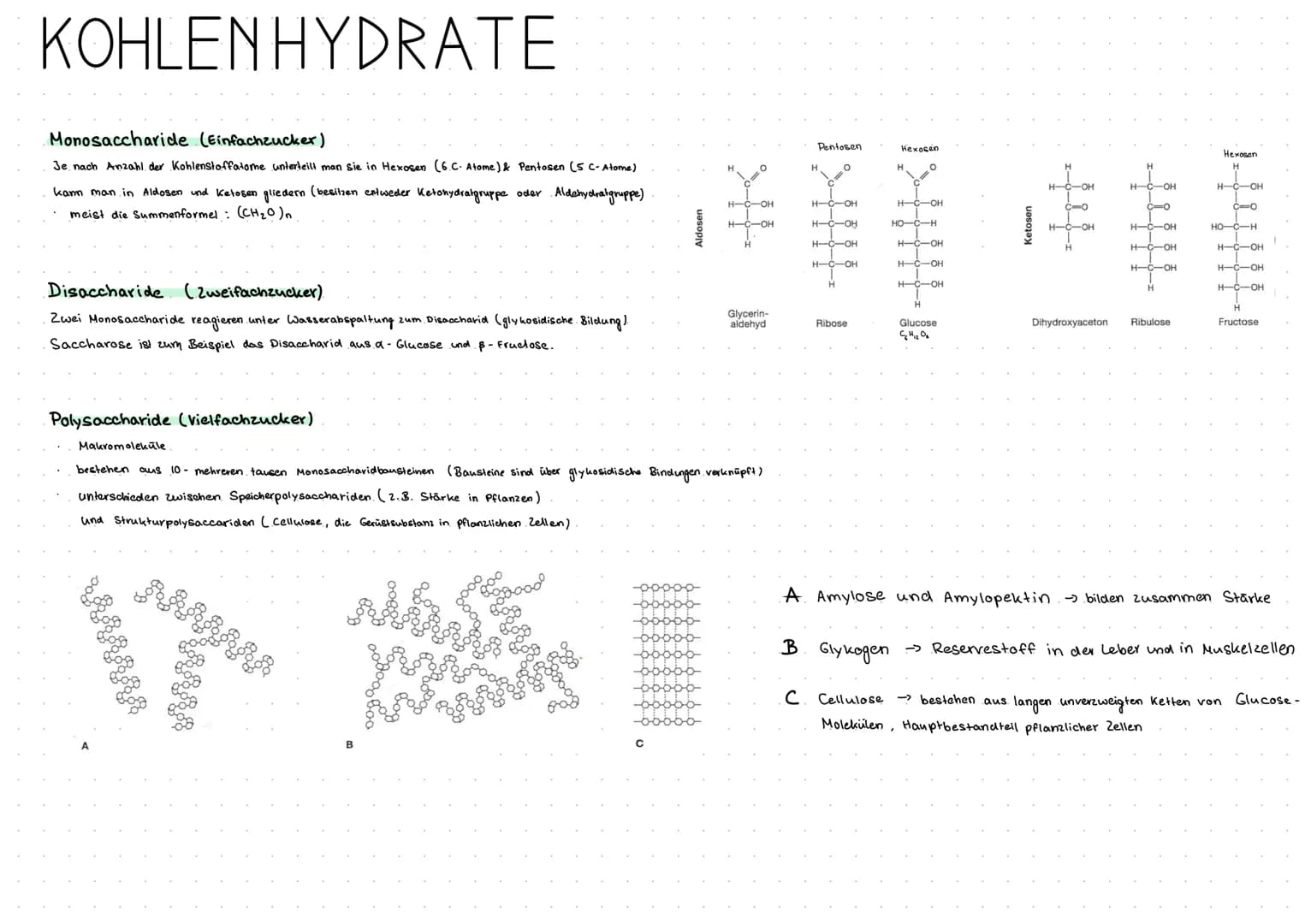 MEMBRANFLVSS
Exocytose und Endocytose.
Exocytose -> sekretorisch aktive Zellen
die Zelle sezerniert bestimmte Biosynthese produkte.
durch Fu