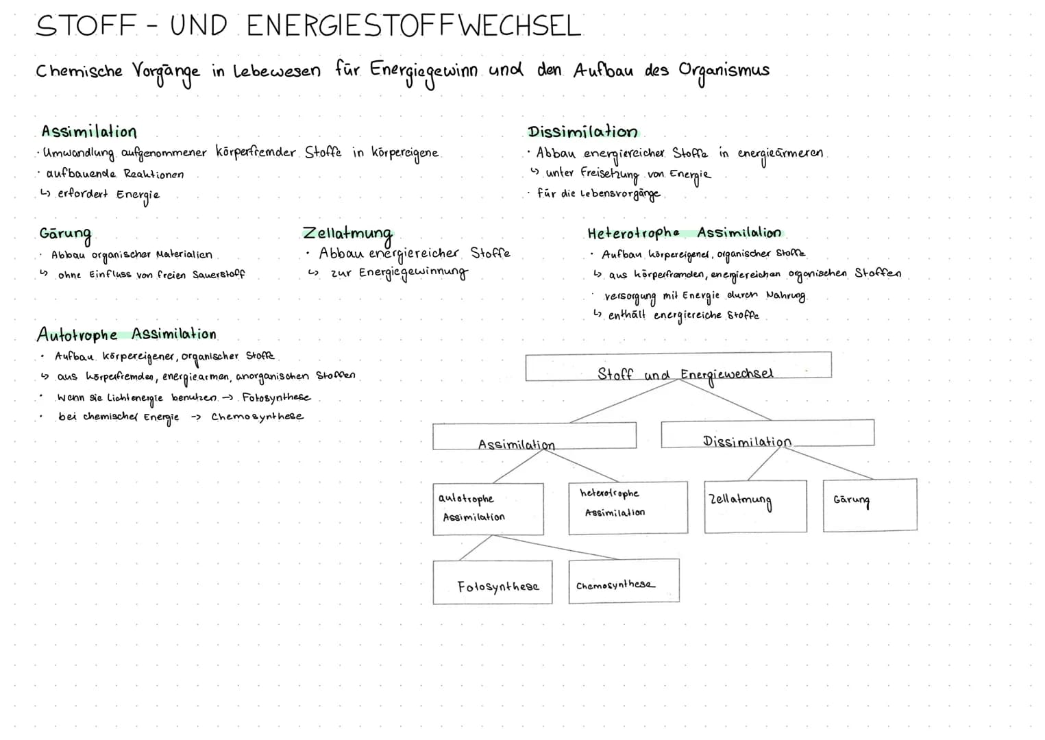 MEMBRANFLVSS
Exocytose und Endocytose.
Exocytose -> sekretorisch aktive Zellen
die Zelle sezerniert bestimmte Biosynthese produkte.
durch Fu