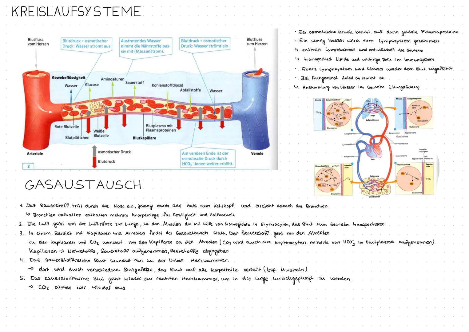 MEMBRANFLVSS
Exocytose und Endocytose.
Exocytose -> sekretorisch aktive Zellen
die Zelle sezerniert bestimmte Biosynthese produkte.
durch Fu