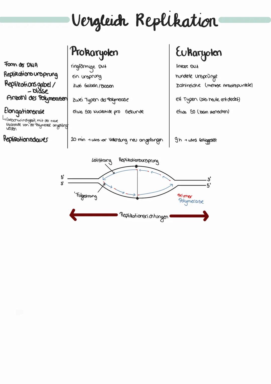 # DNA-Replikation

molekularer Mechanismus

Für die semikonservative Replikation des DNA wird benötigt:

-ein Out-Strong als vorlage

-Nucle