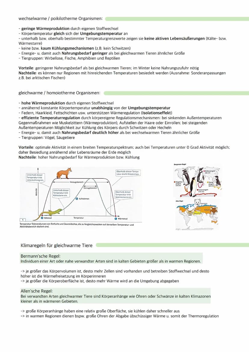 Ökologie
Ökosystem: Wechselbeziehungen zwischen Organismen und ihrer Umwelt; dynamisches Beziehungsgefüge
aus Biozönose (Lebensgemeinschaft)